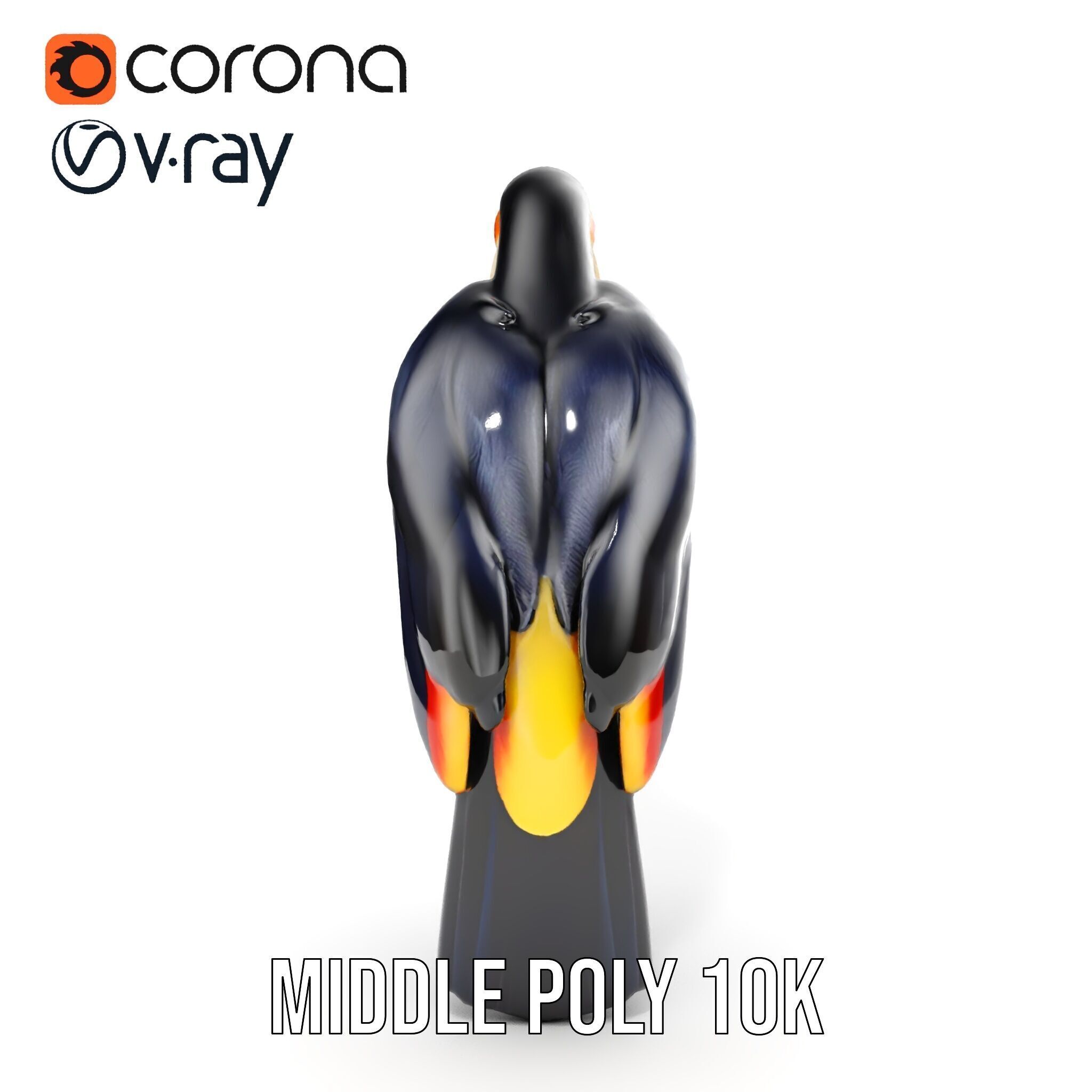 Tropical Toucan Bird D Model Pack Low-poly 3D model_10