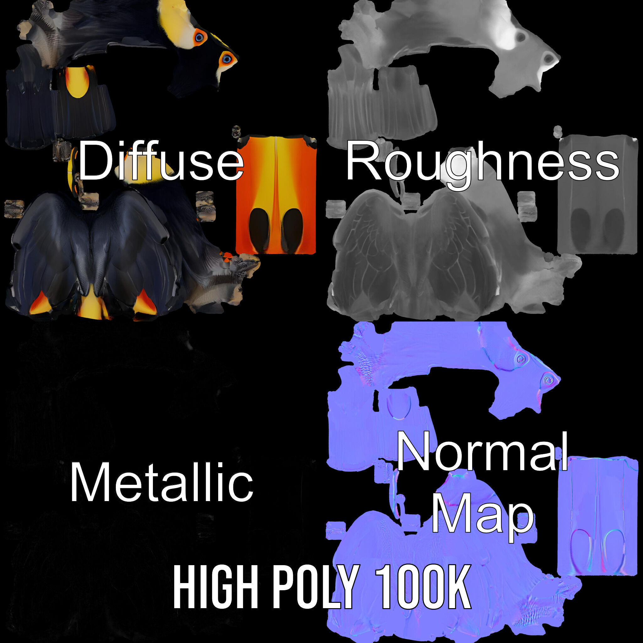 Tropical Toucan Bird D Model Pack Low-poly 3D model_4