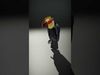 Tropical Toucan Bird D Model Pack Low-poly 3D model_2