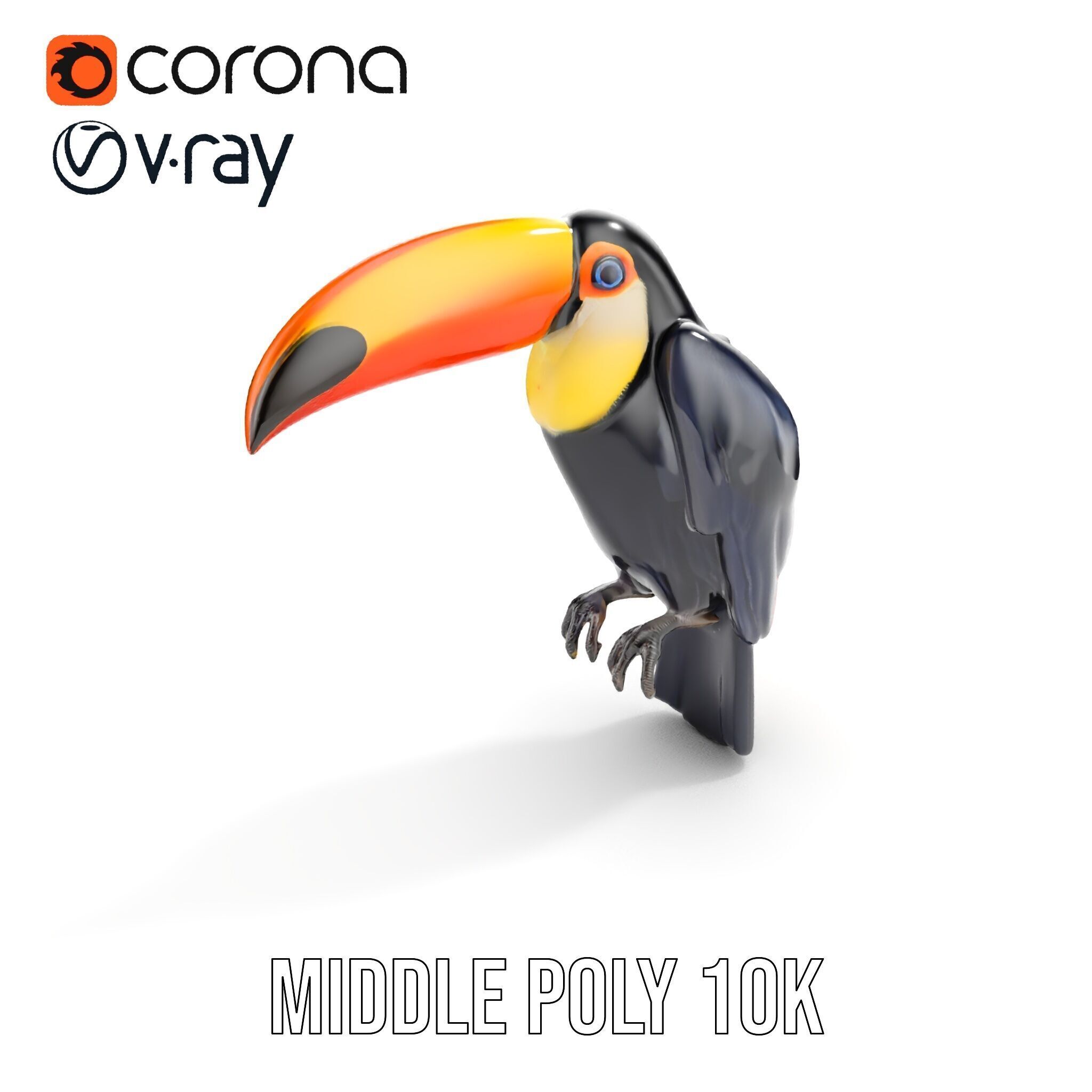 Tropical Toucan Bird D Model Pack Low-poly 3D model_32