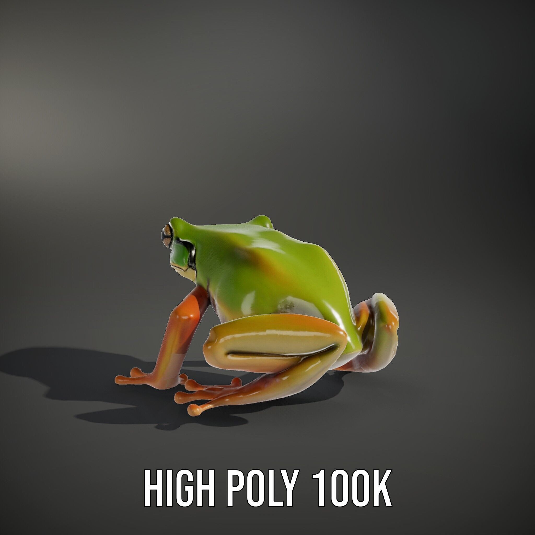 Colorful Frog Model Pack for D Rendering and Animations Low-poly 3D model_12