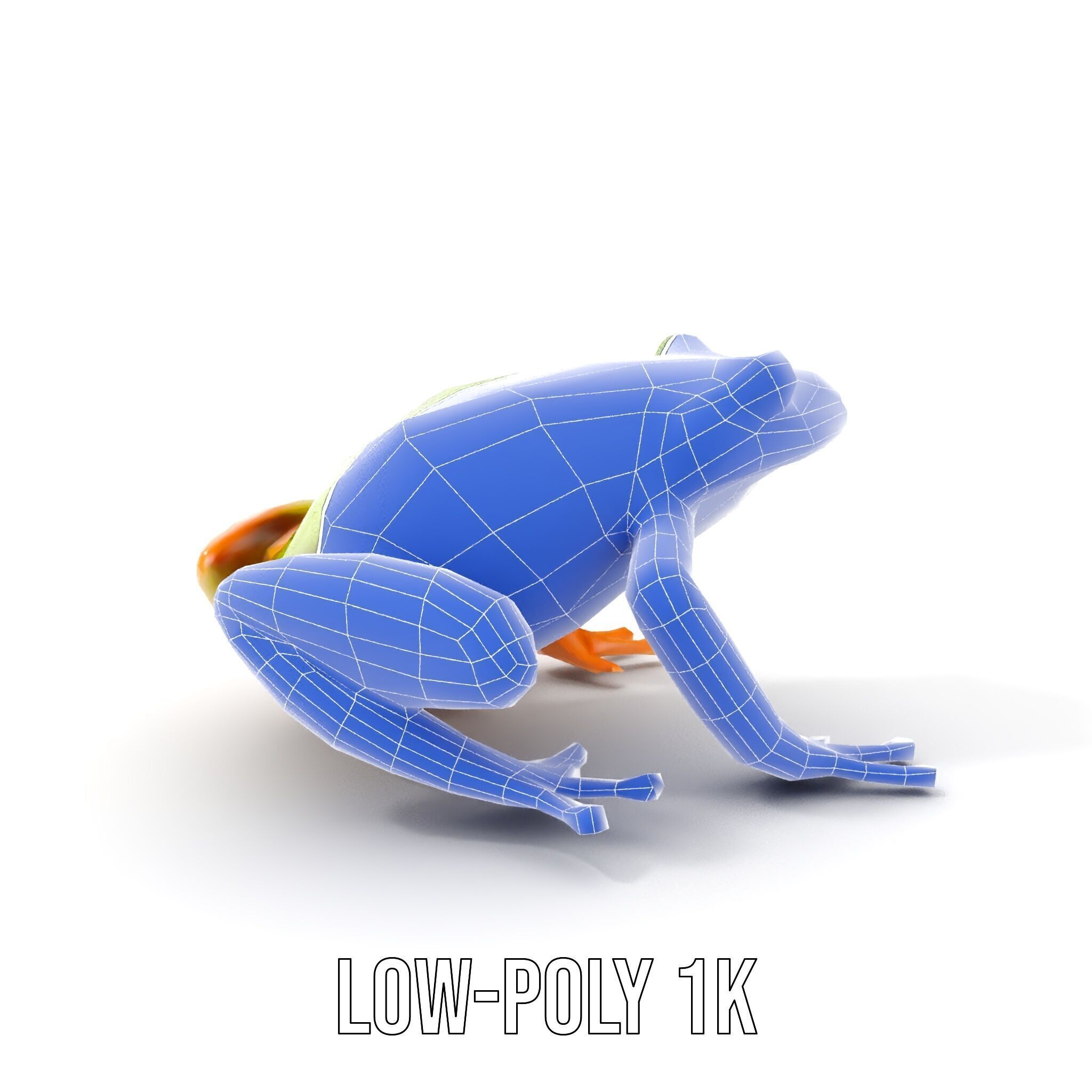 Colorful Frog Model Pack for D Rendering and Animations Low-poly 3D model_27