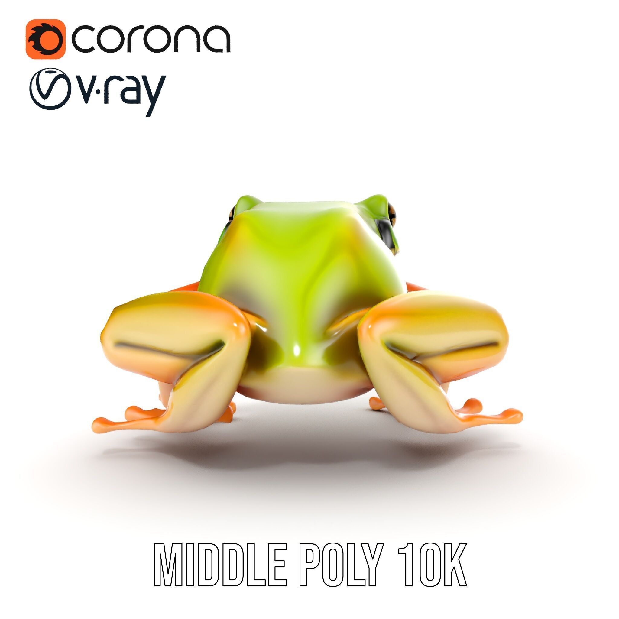 Colorful Frog Model Pack for D Rendering and Animations Low-poly 3D model_10