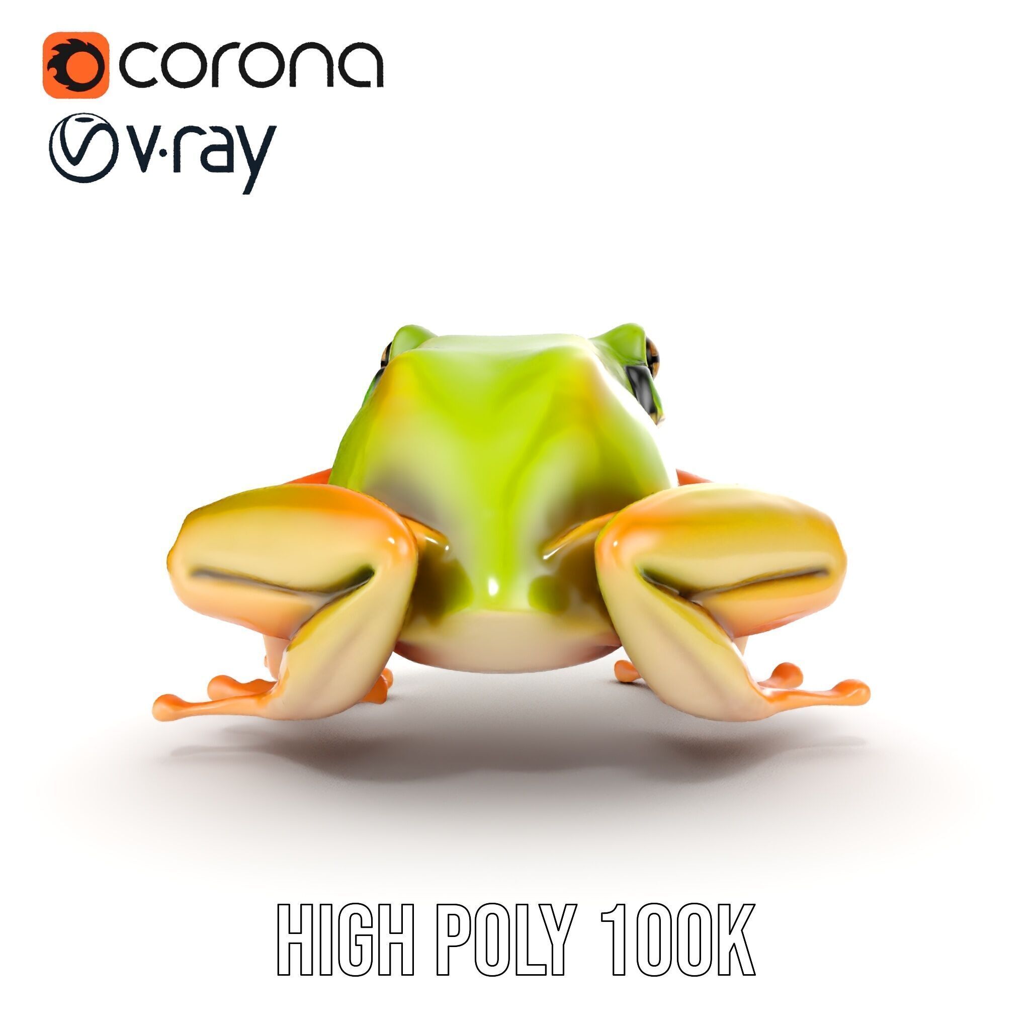 Colorful Frog Model Pack for D Rendering and Animations Low-poly 3D model_36