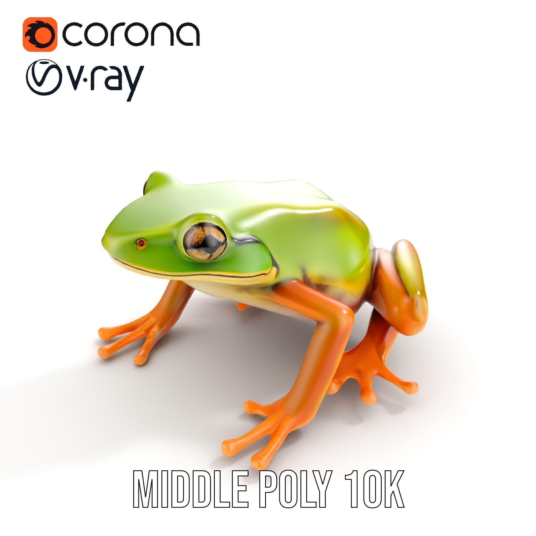 Colorful Frog Model Pack for D Rendering and Animations Low-poly 3D model_7