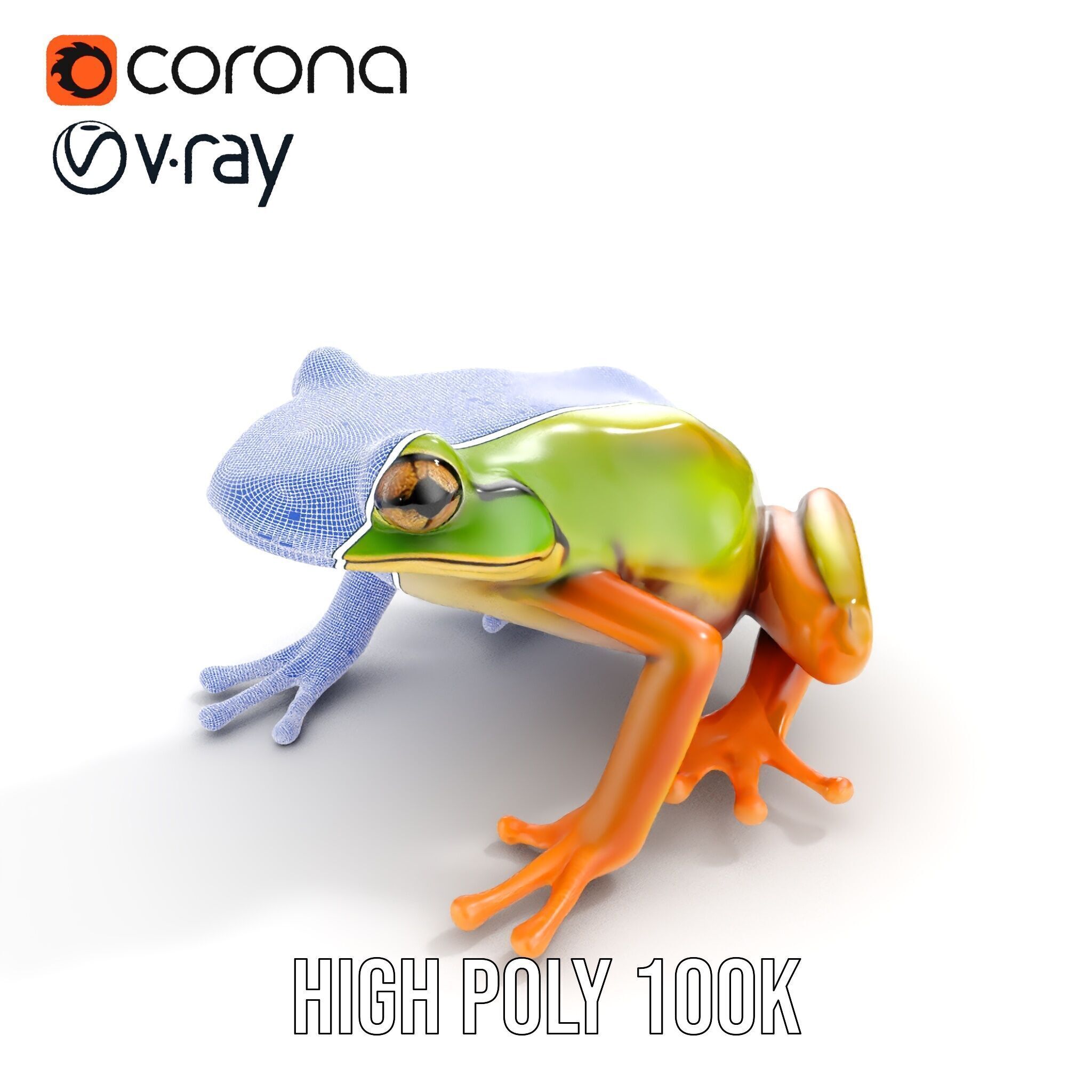 Colorful Frog Model Pack for D Rendering and Animations Low-poly 3D model_37