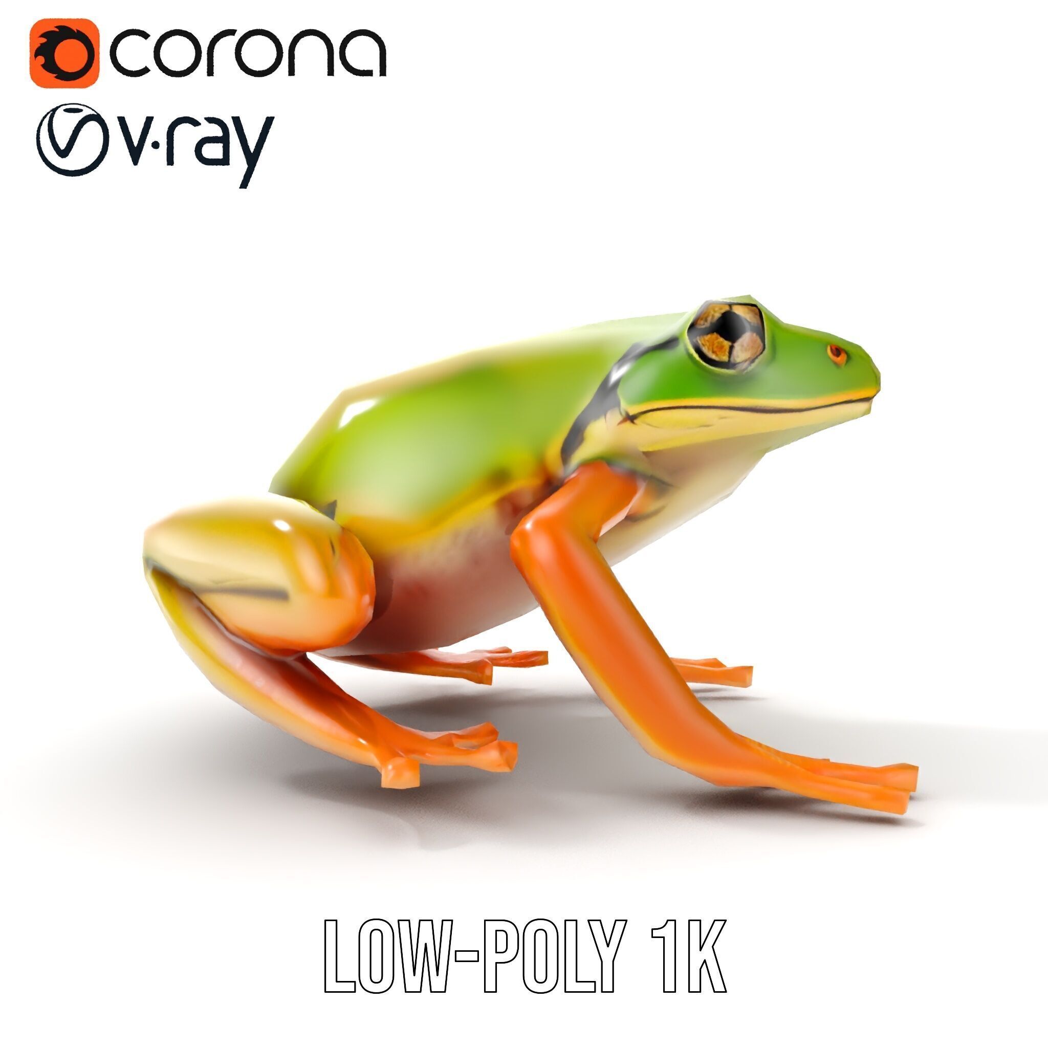 Colorful Frog Model Pack for D Rendering and Animations Low-poly 3D model_11