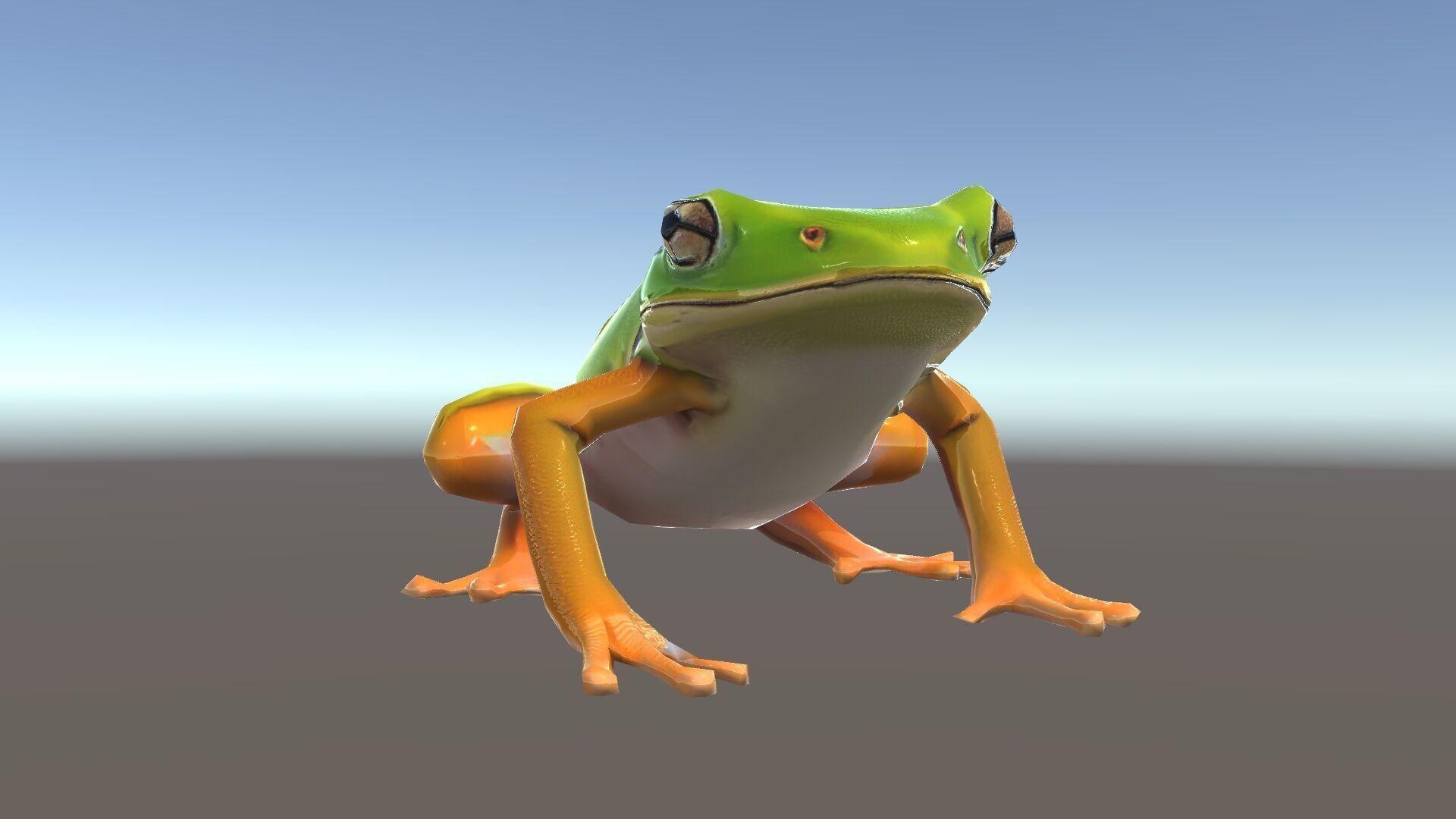 Colorful Frog Model Pack for D Rendering and Animations Low-poly 3D model_35