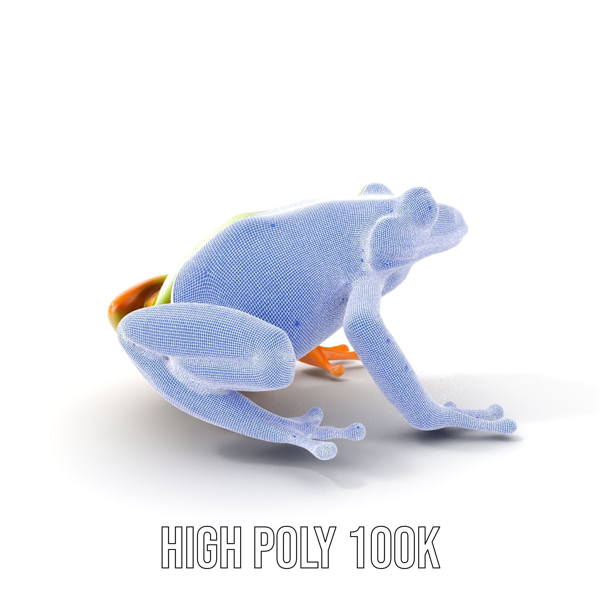 Colorful Frog Model Pack for D Rendering and Animations Low-poly 3D model_5