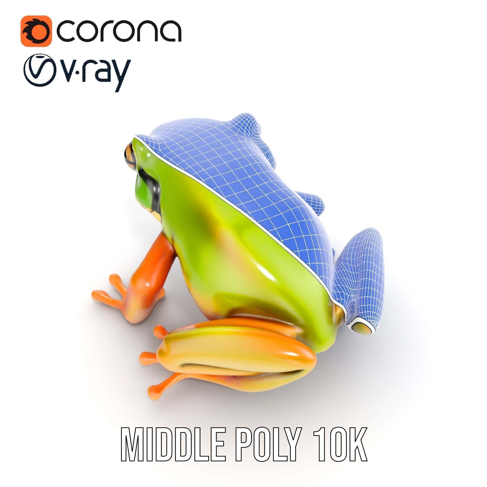 Colorful Frog Model Pack for D Rendering and Animations Low-poly 3D model_31