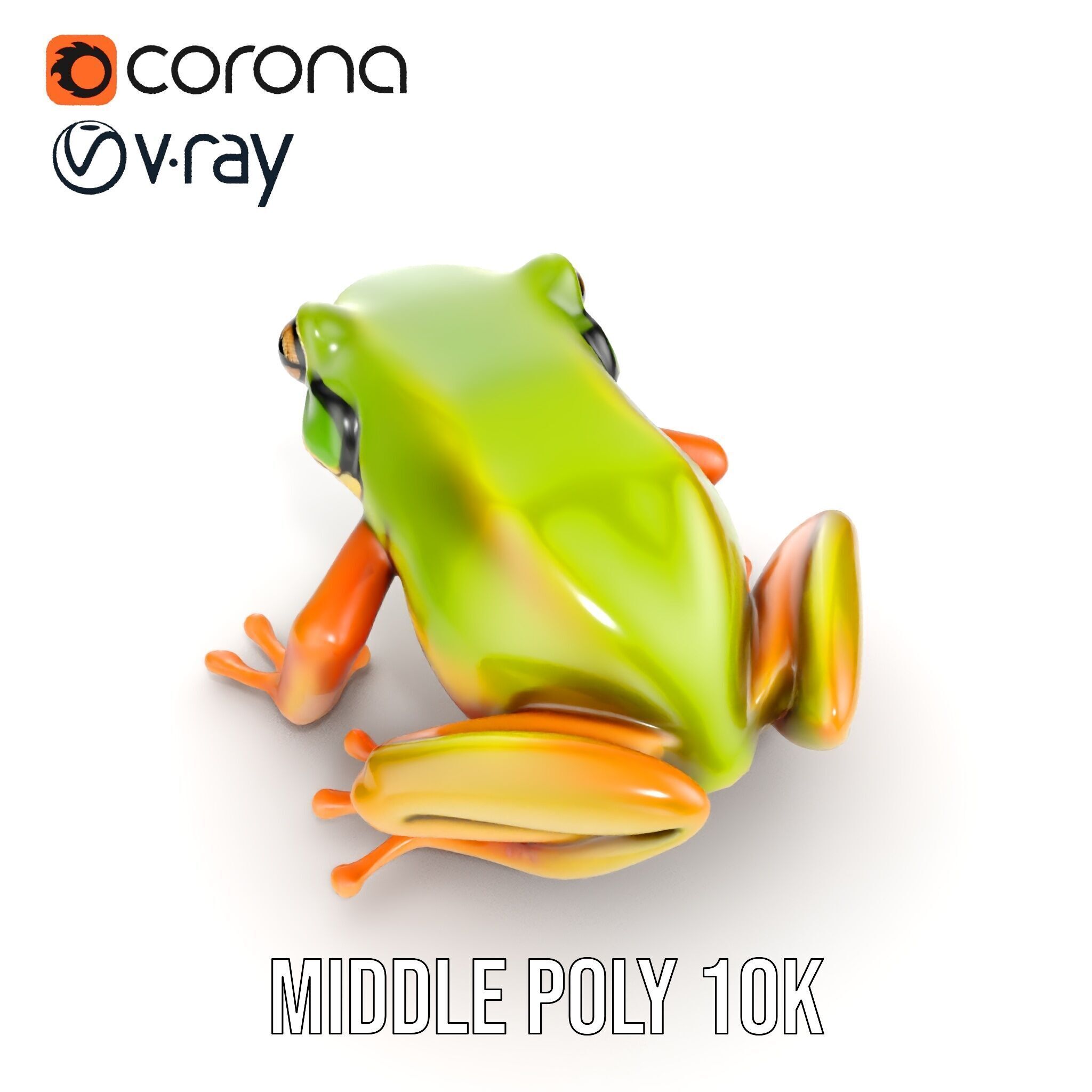 Colorful Frog Model Pack for D Rendering and Animations Low-poly 3D model_18