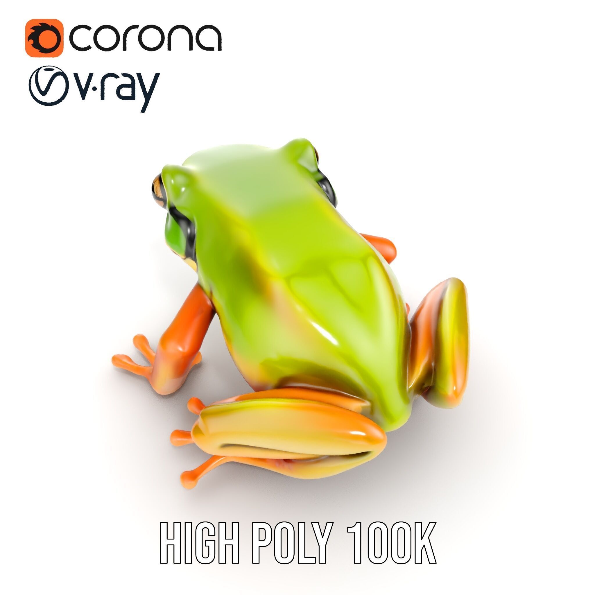 Colorful Frog Model Pack for D Rendering and Animations Low-poly 3D model_22