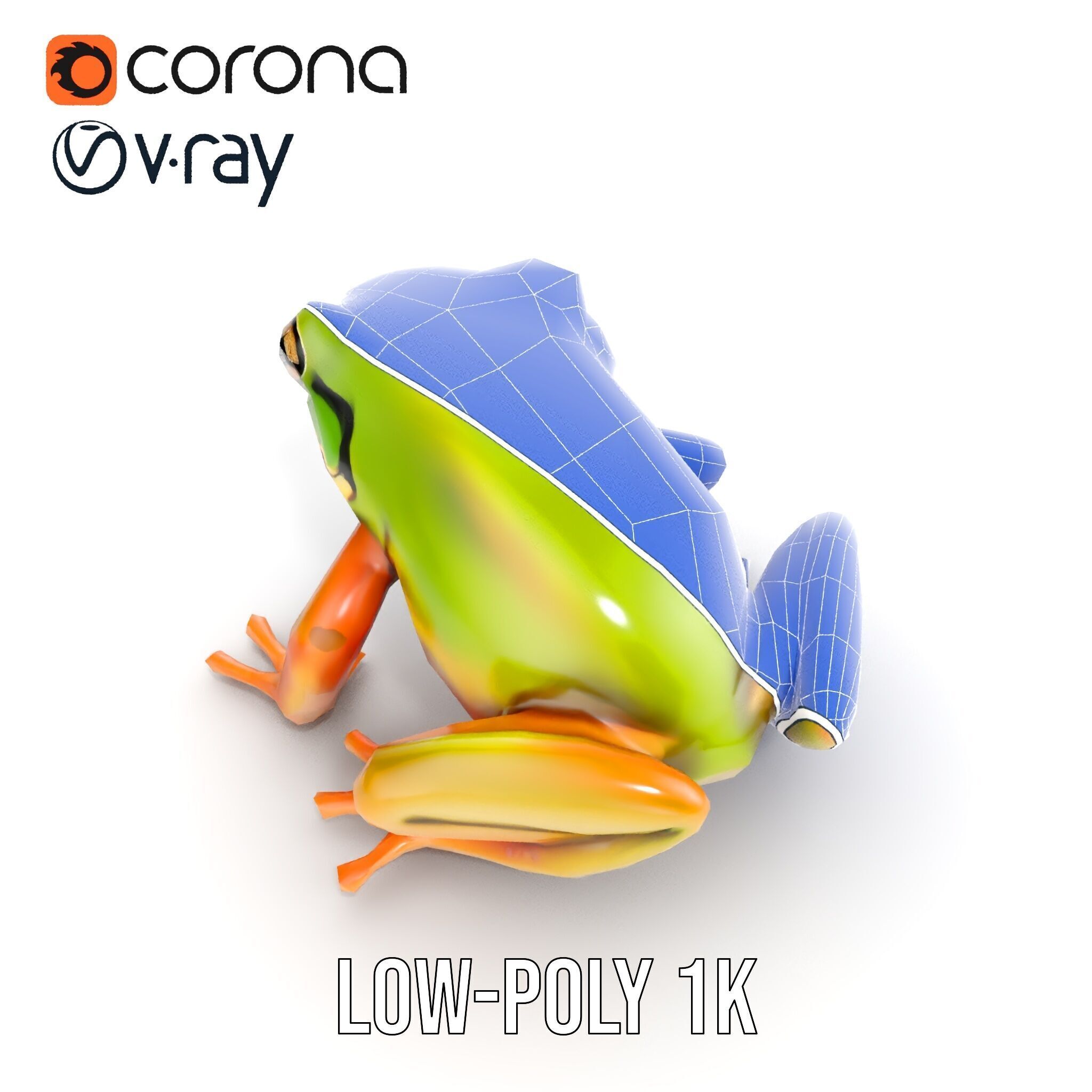 Colorful Frog Model Pack for D Rendering and Animations Low-poly 3D model_21