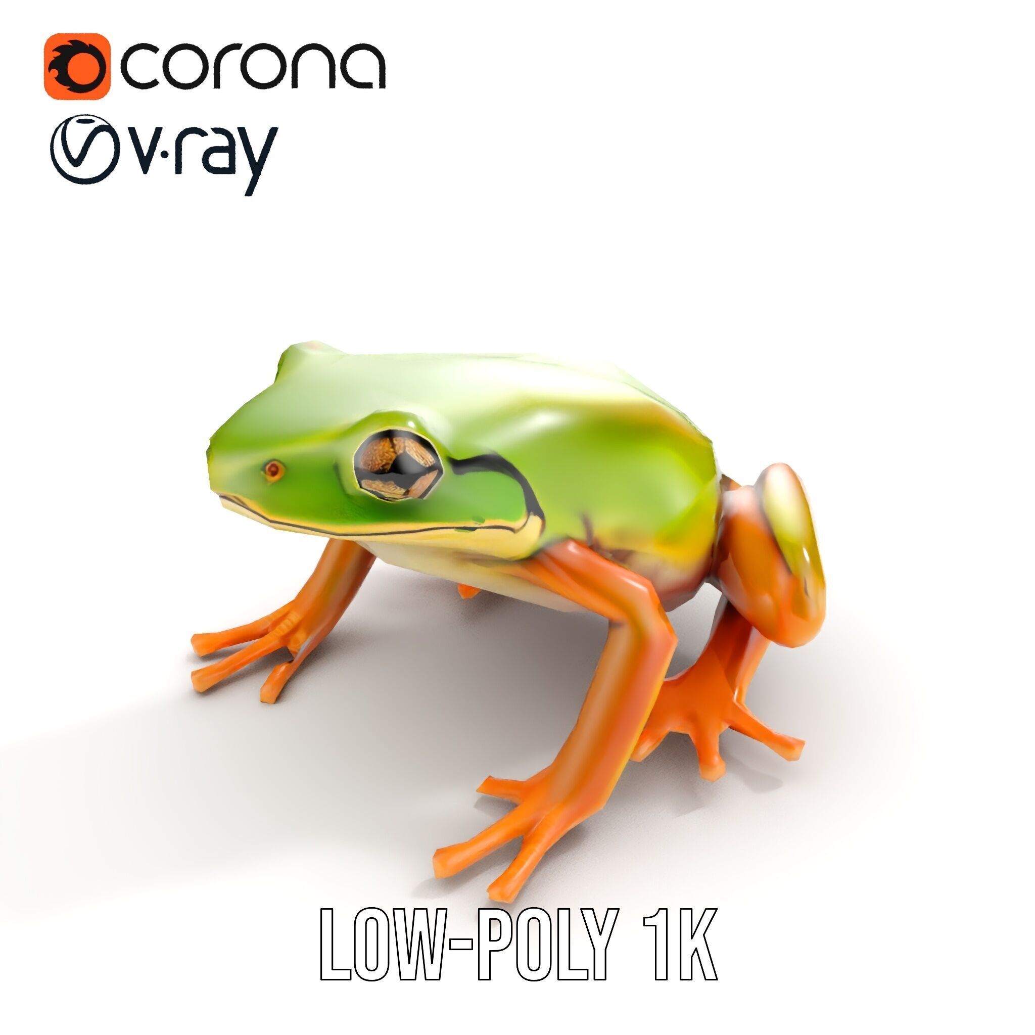 Colorful Frog Model Pack for D Rendering and Animations Low-poly 3D model_17