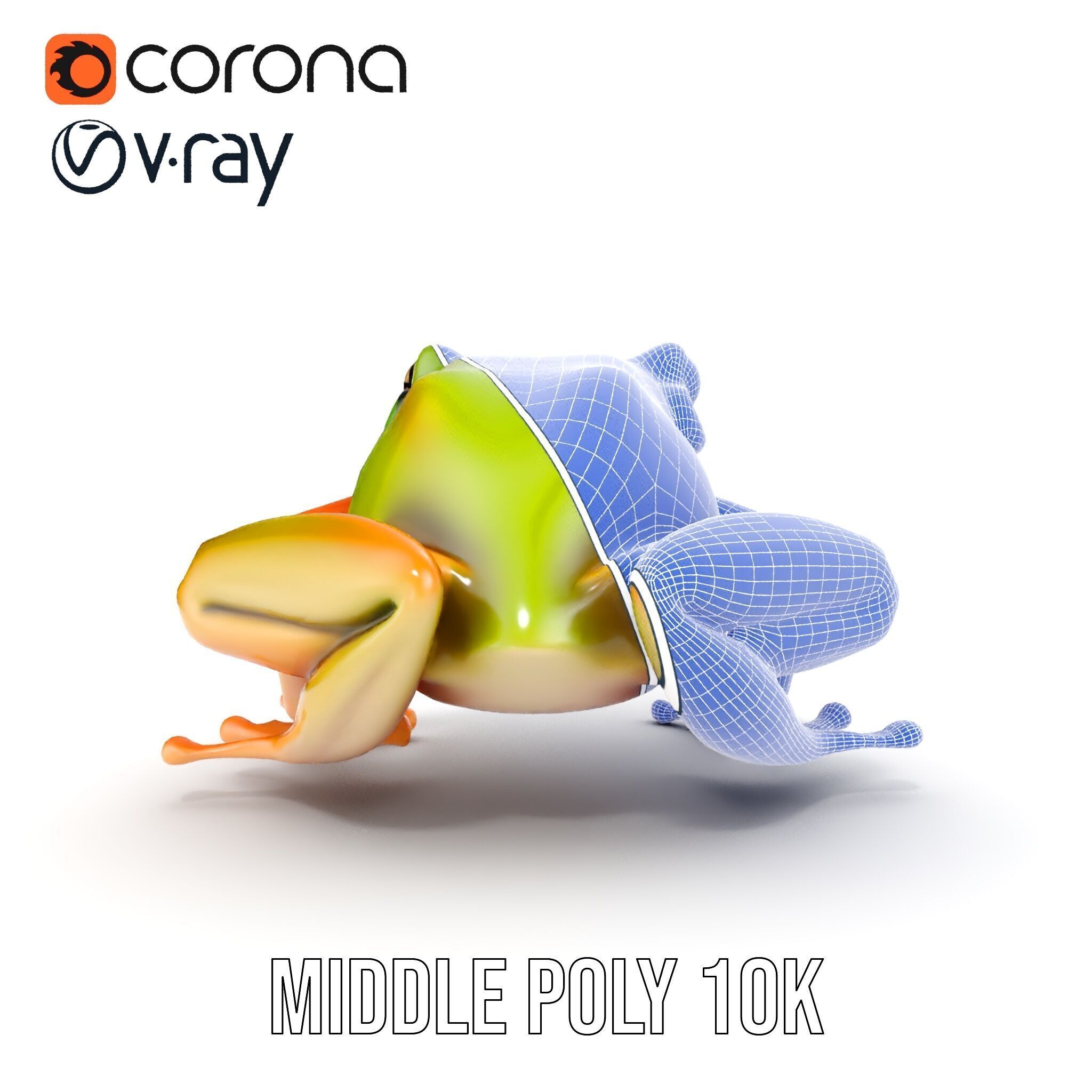 Colorful Frog Model Pack for D Rendering and Animations Low-poly 3D model_28