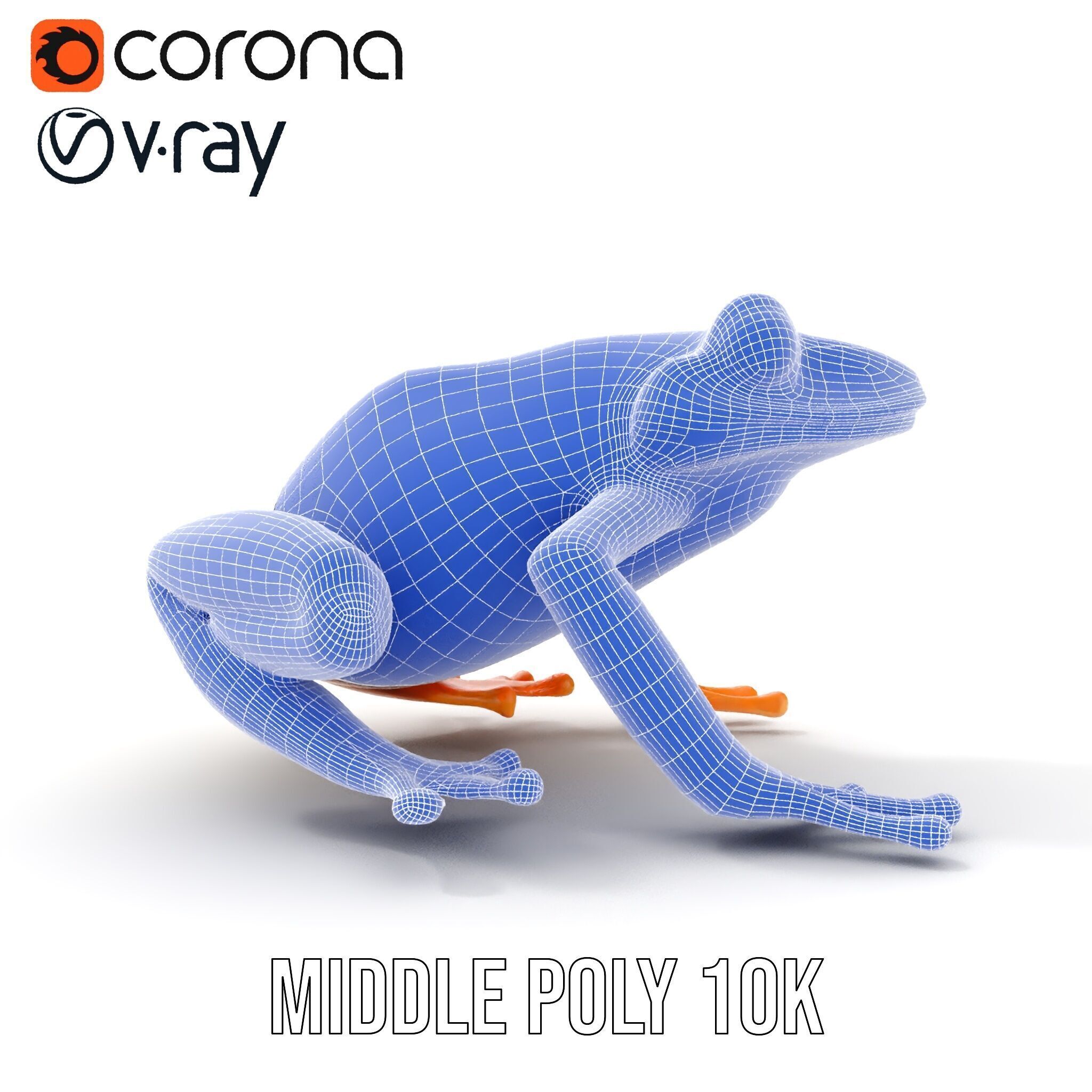 Colorful Frog Model Pack for D Rendering and Animations Low-poly 3D model_26