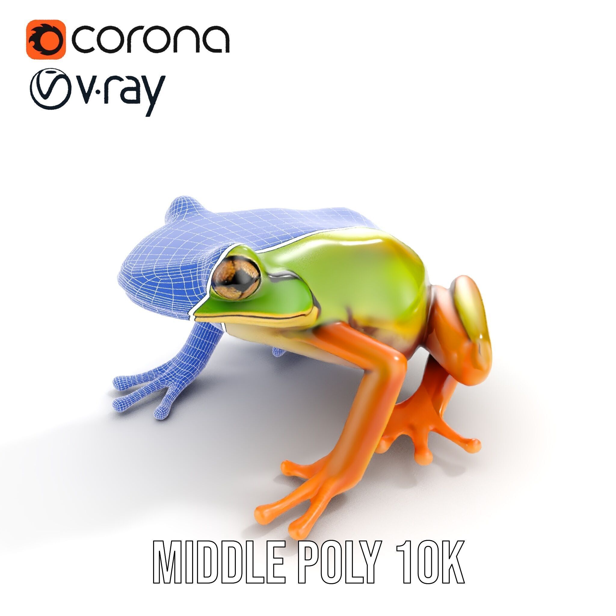 Colorful Frog Model Pack for D Rendering and Animations Low-poly 3D model_23