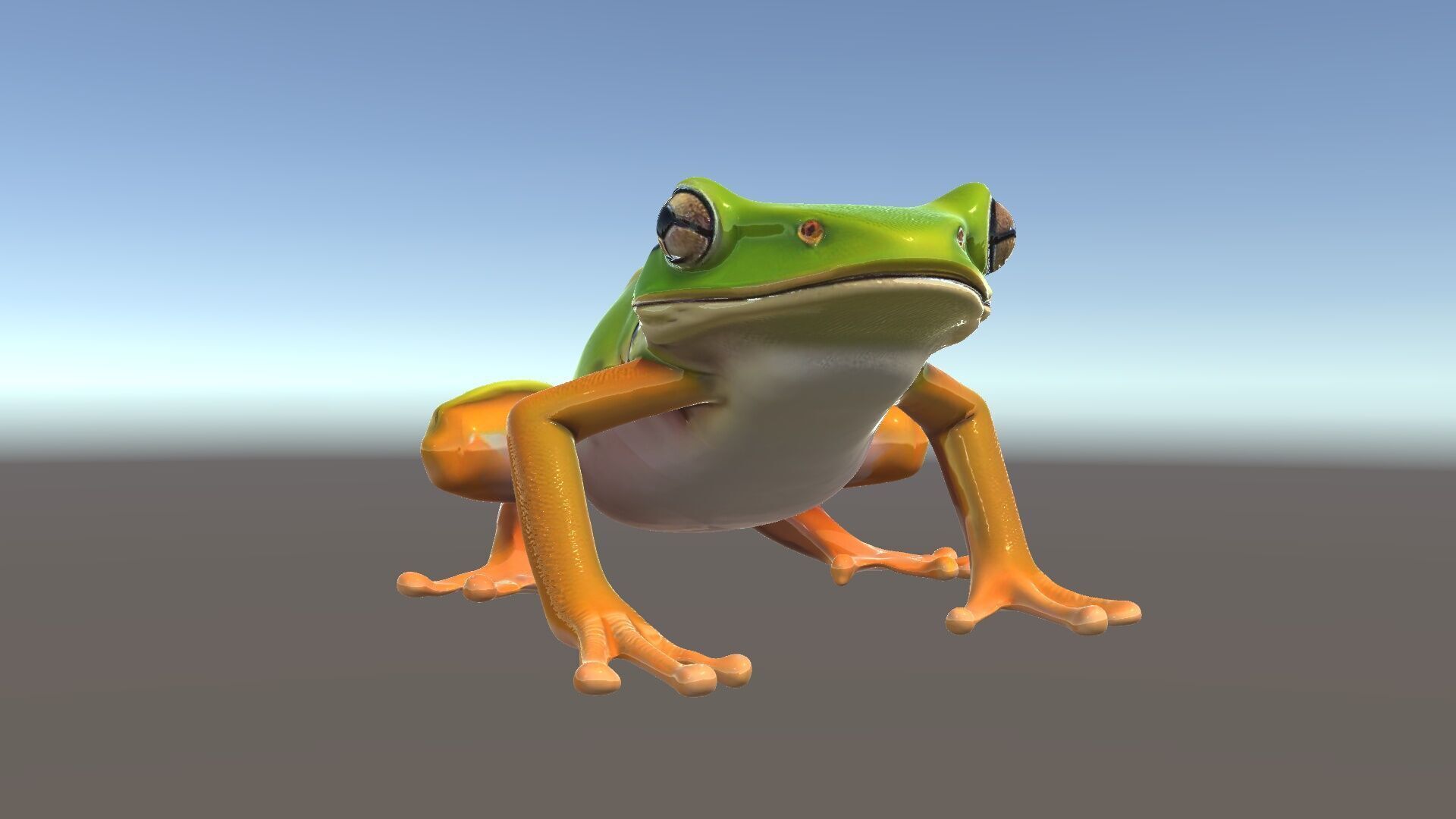 Colorful Frog Model Pack for D Rendering and Animations Low-poly 3D model_6