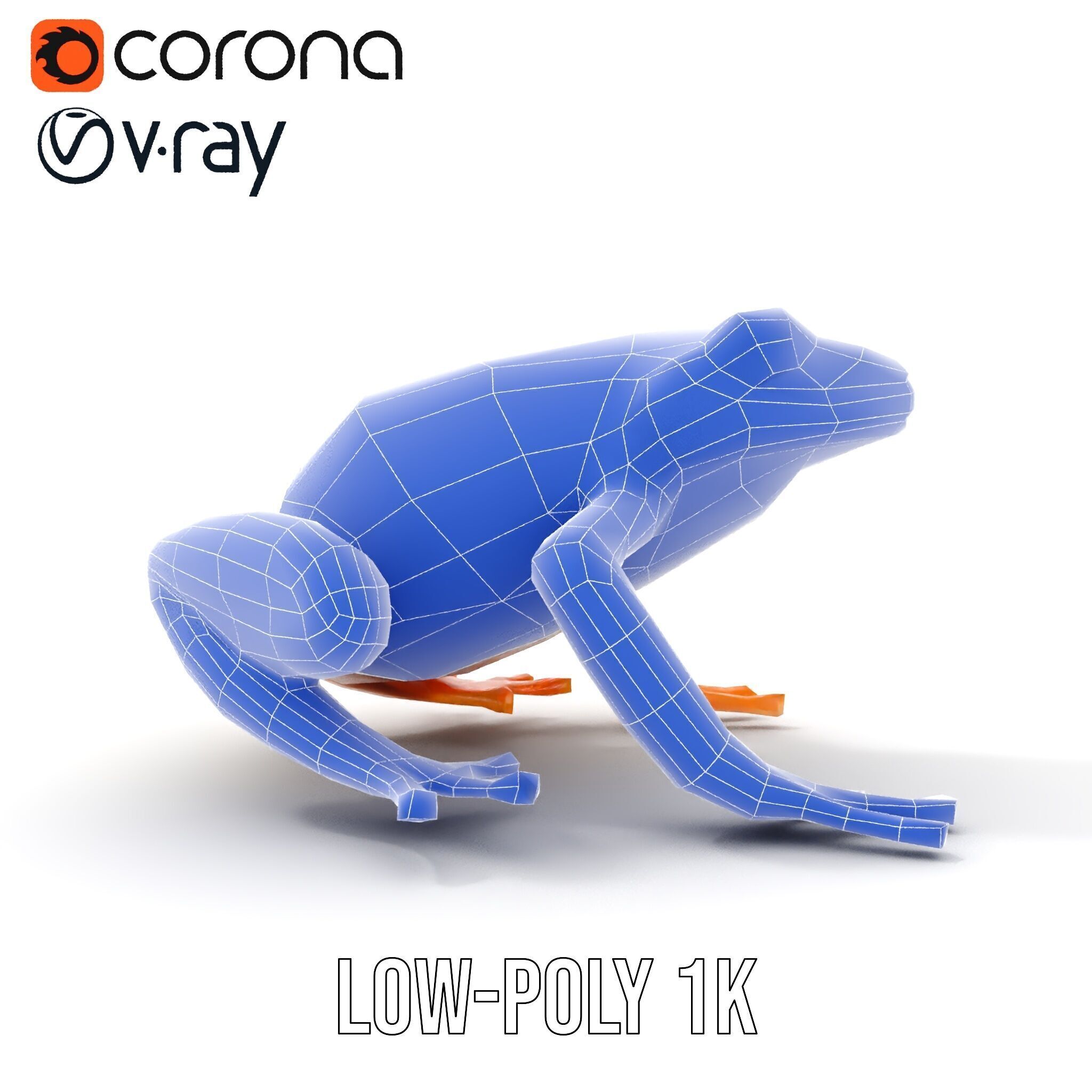 Colorful Frog Model Pack for D Rendering and Animations Low-poly 3D model_32