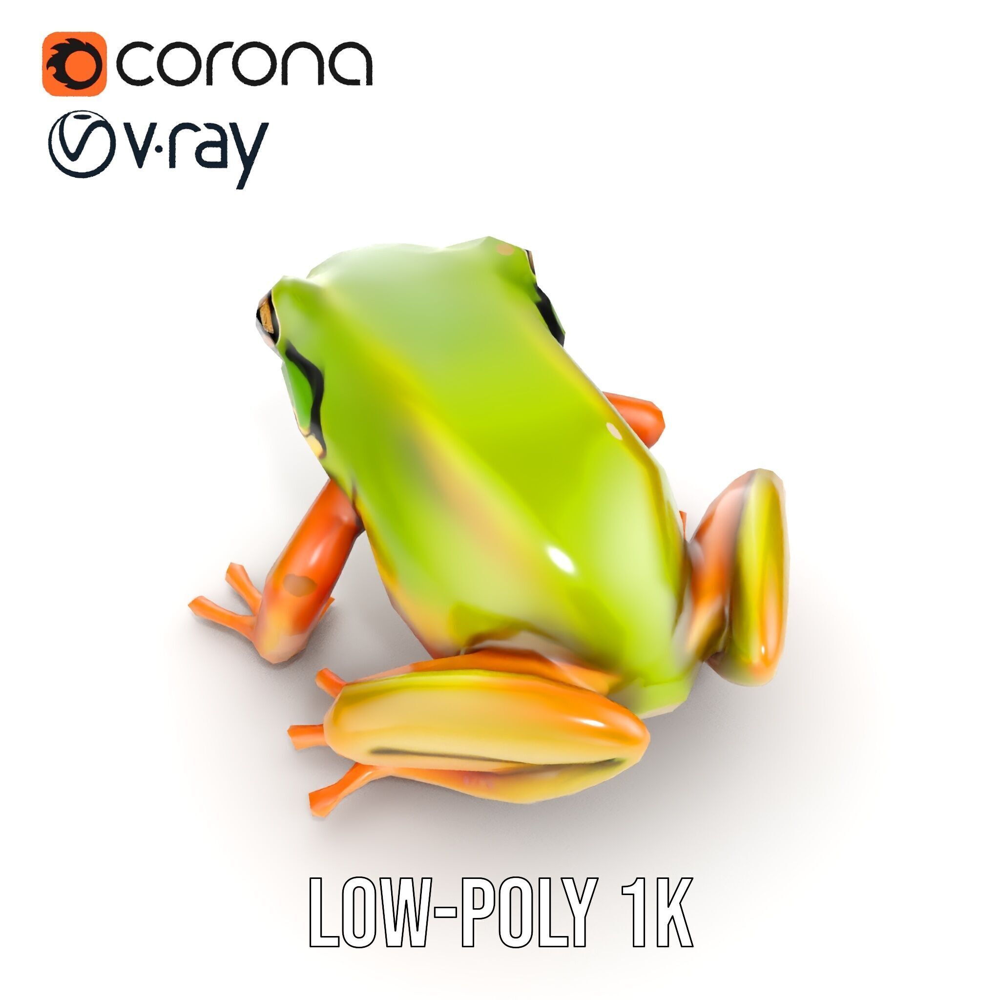 Colorful Frog Model Pack for D Rendering and Animations Low-poly 3D model_14