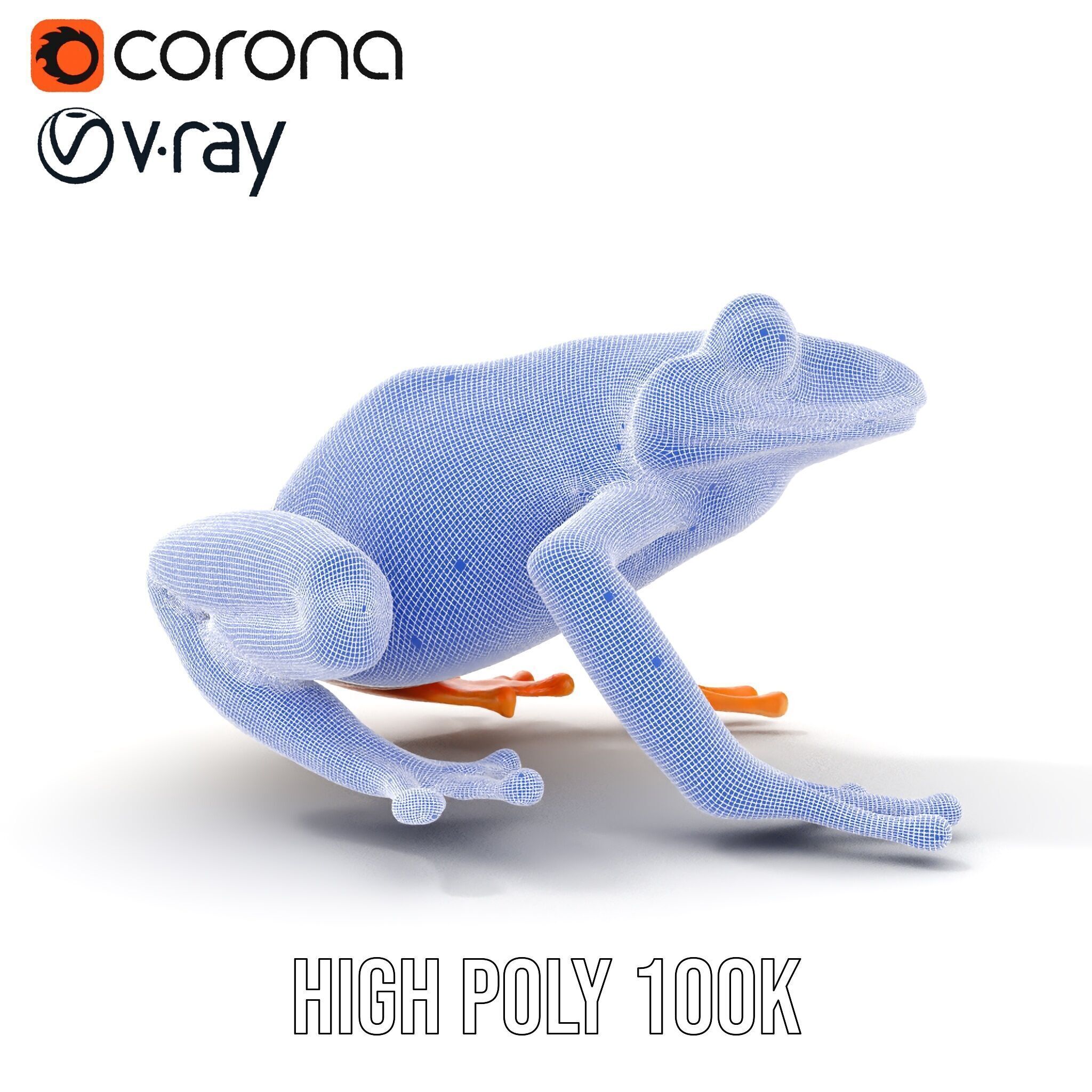 Colorful Frog Model Pack for D Rendering and Animations Low-poly 3D model_38
