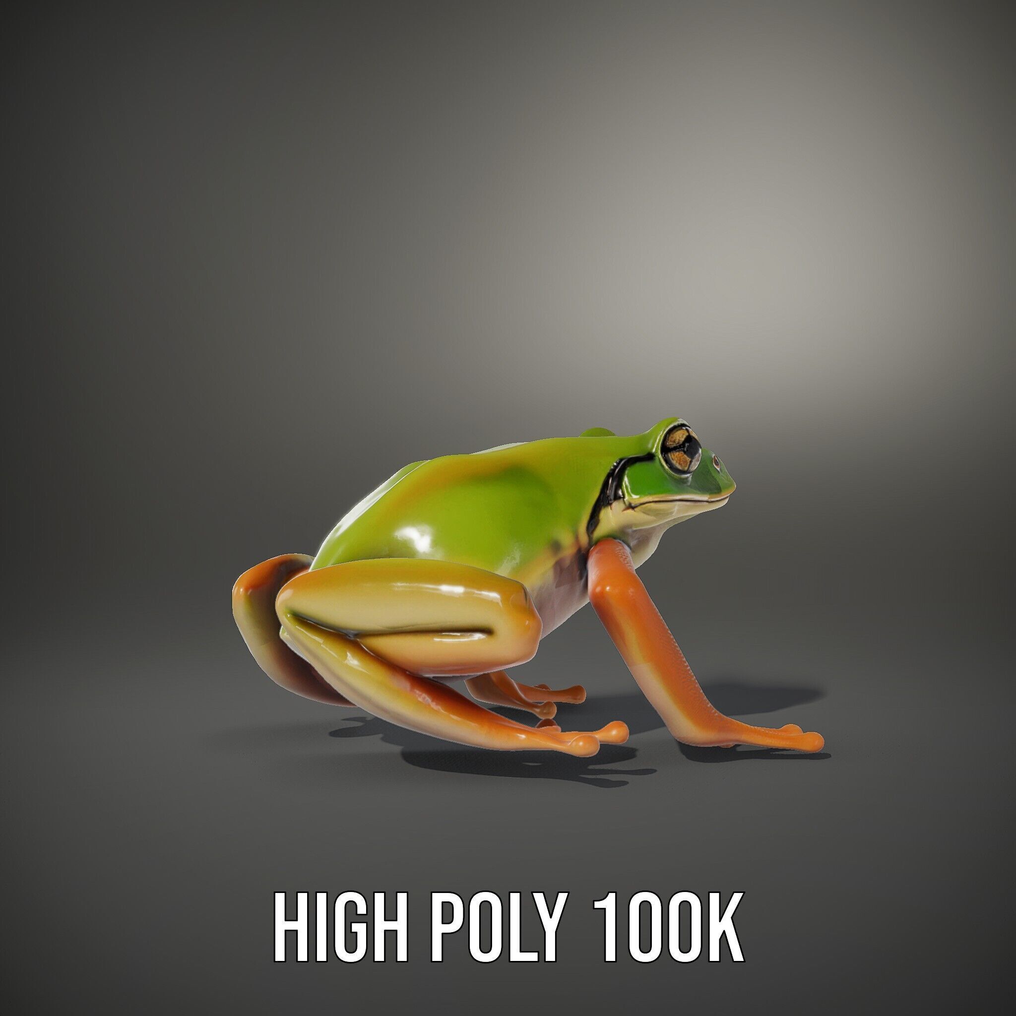 Colorful Frog Model Pack for D Rendering and Animations Low-poly 3D model_15