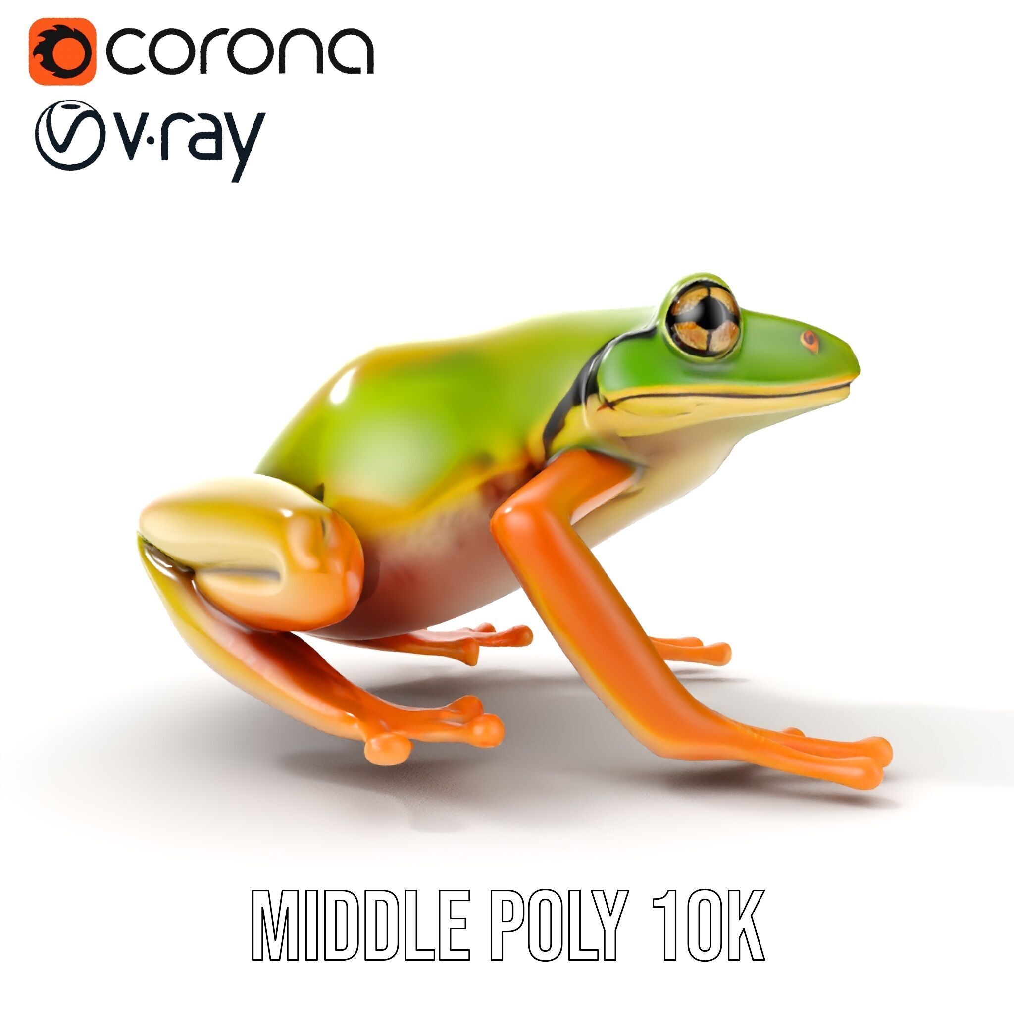 Colorful Frog Model Pack for D Rendering and Animations Low-poly 3D model_16