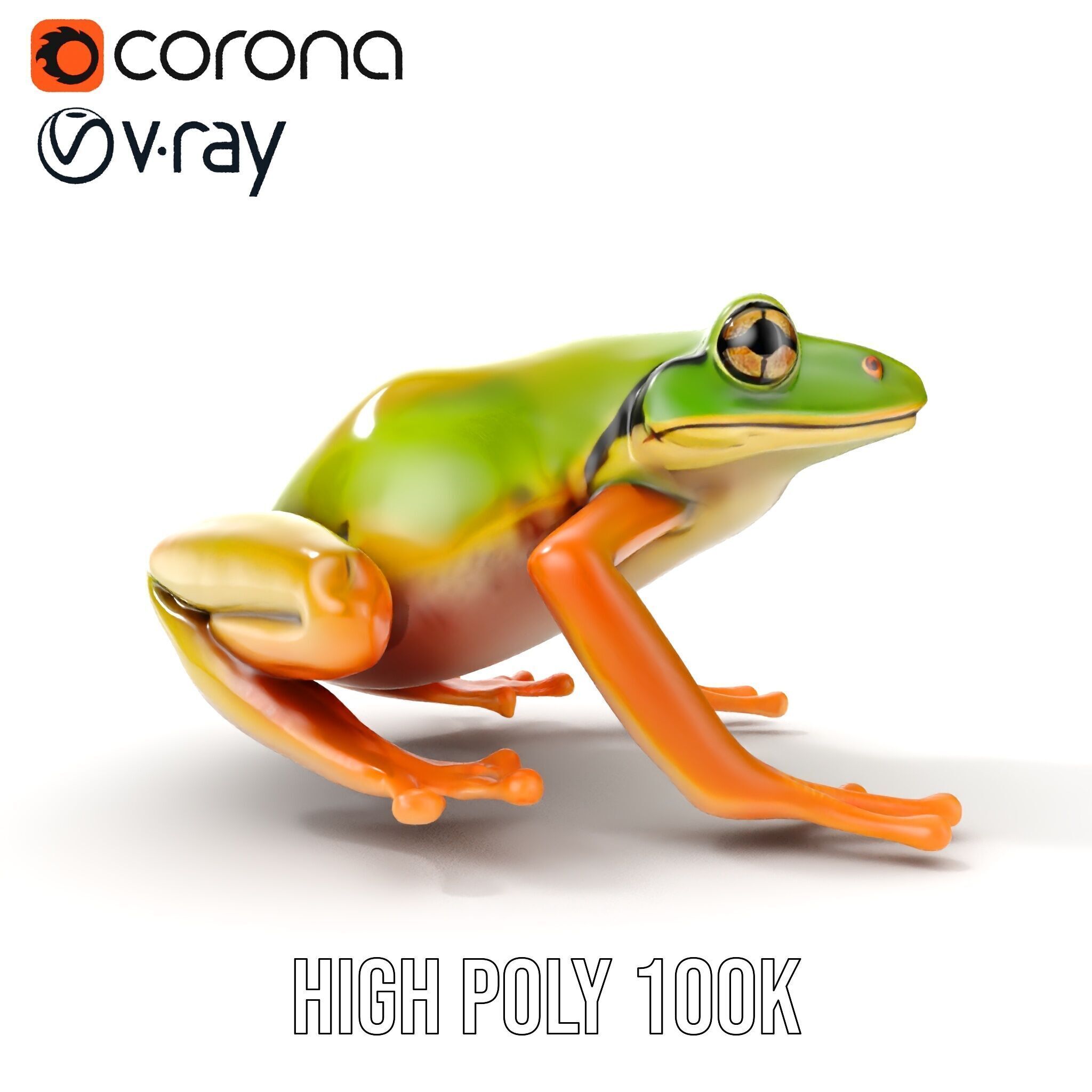 Colorful Frog Model Pack for D Rendering and Animations Low-poly 3D model_25