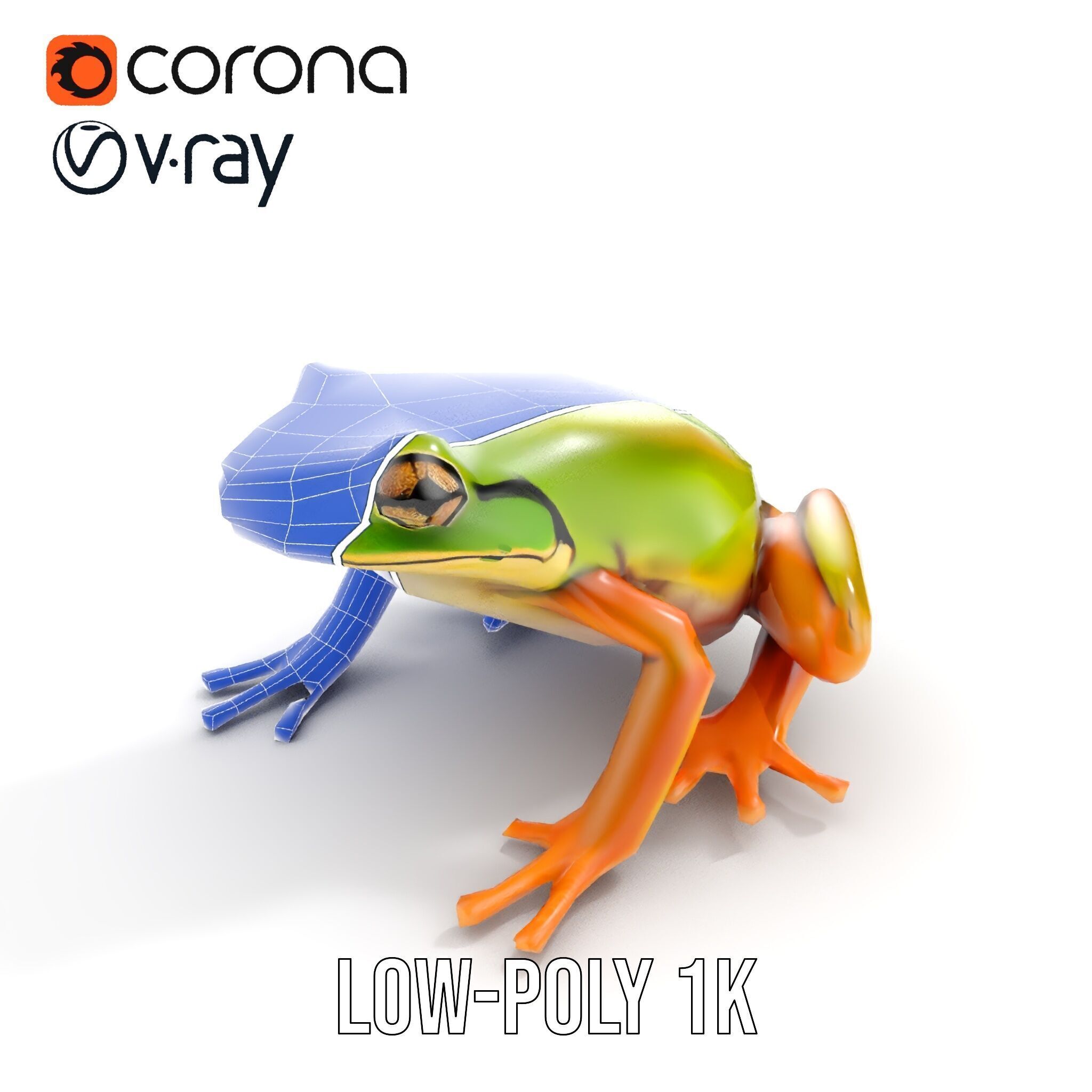 Colorful Frog Model Pack for D Rendering and Animations Low-poly 3D model_29