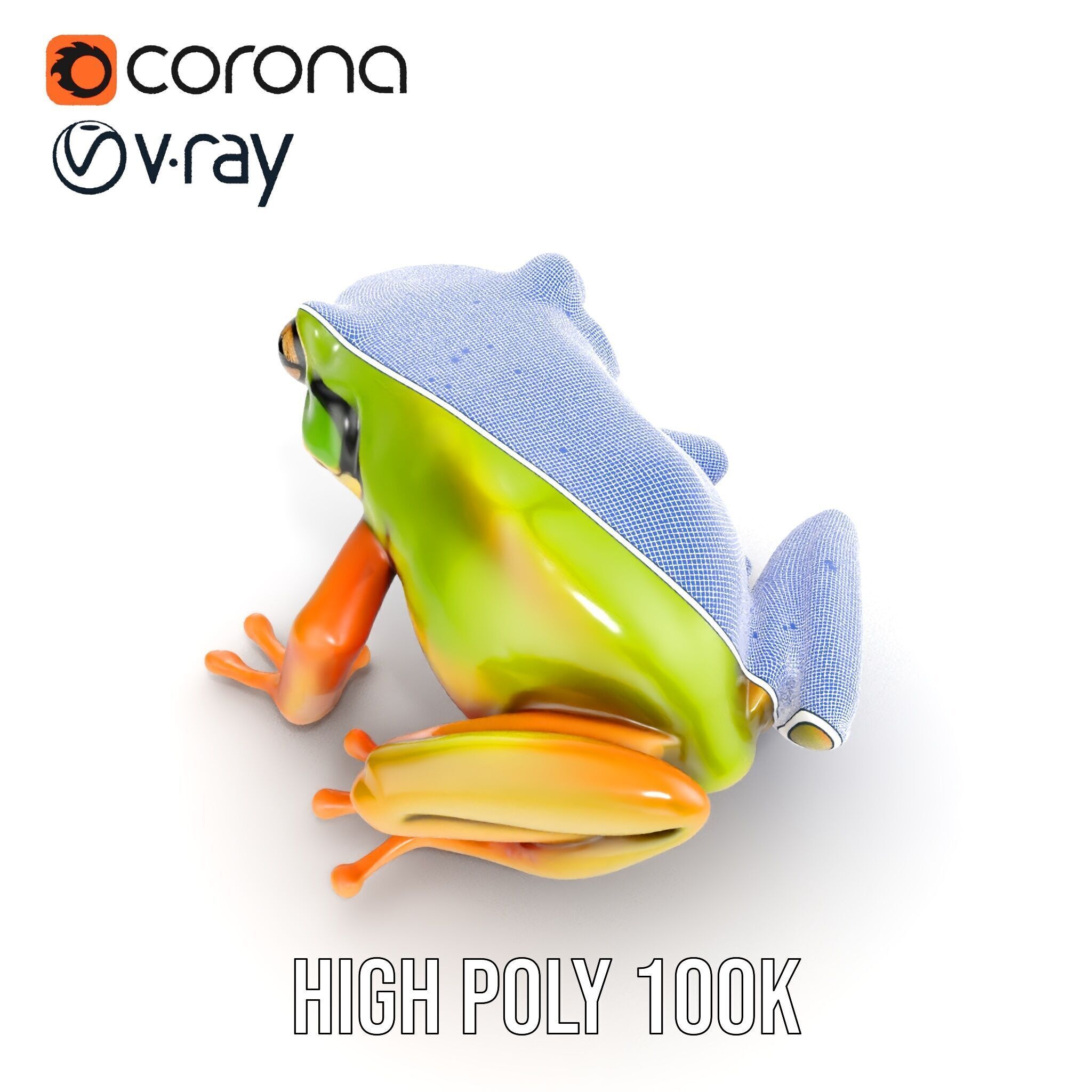 Colorful Frog Model Pack for D Rendering and Animations Low-poly 3D model_30