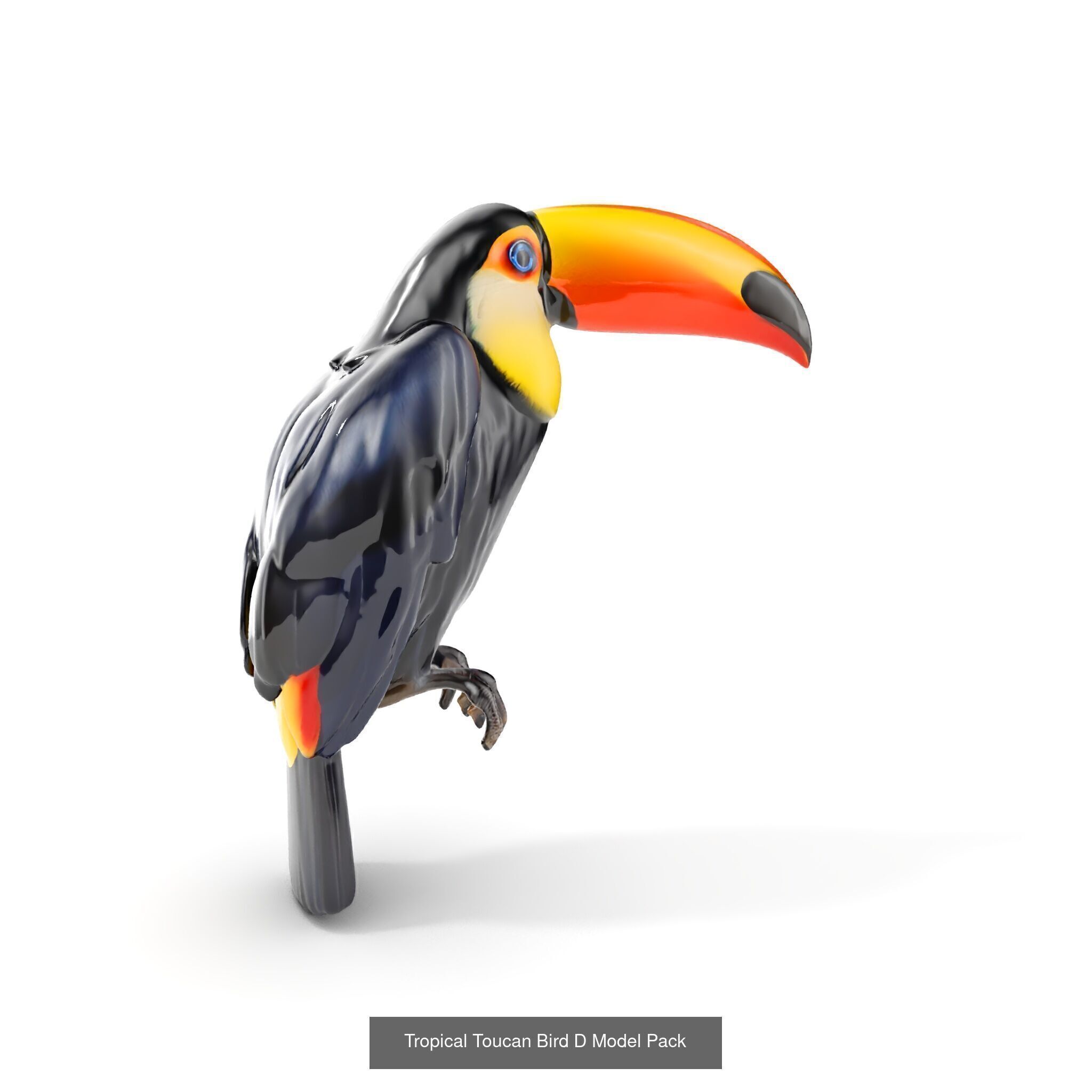 Natures Creations 3D Pack 3D Model Collection_30