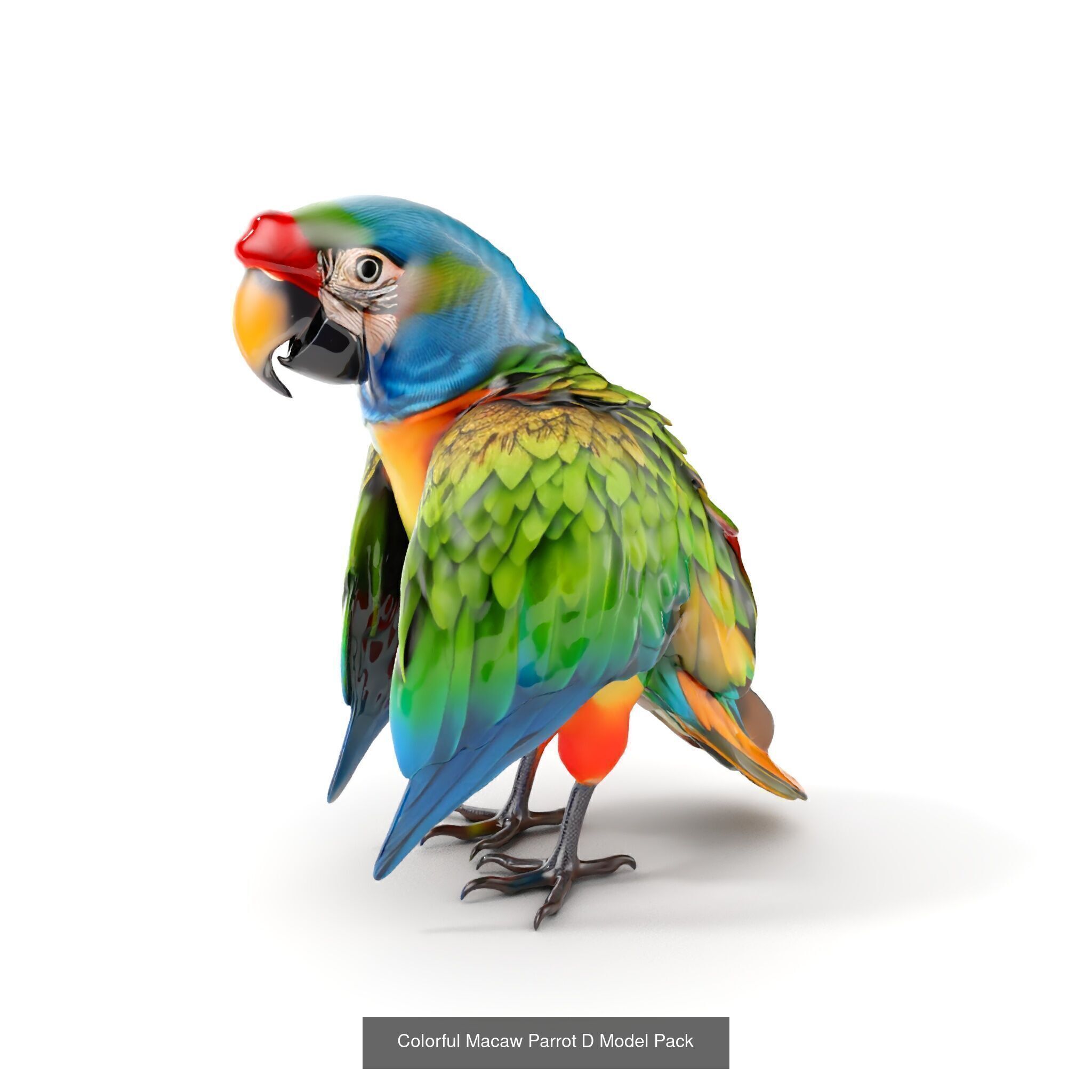 Natures Creations 3D Pack 3D Model Collection_27