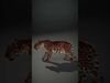 Natures Creations 3D Pack 3D Model Collection_10