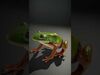 Natures Creations 3D Pack 3D Model Collection_19
