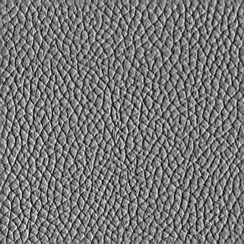 Model zebra upholstery fabric Free 3D model_2