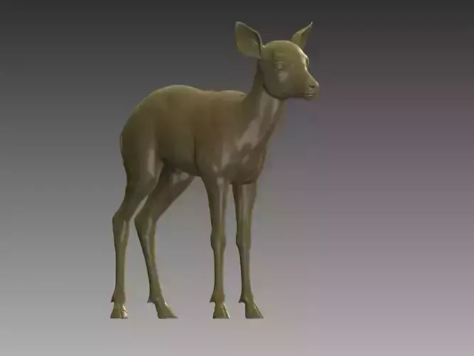 Baby Deer 3D Model