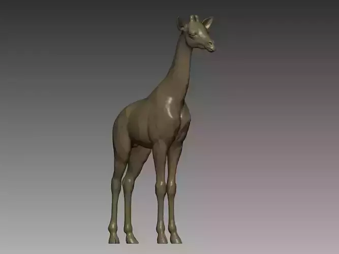 Baby Giraffe 3D Model 3D print model