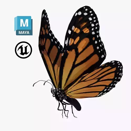Butterfly Monarch 3D model