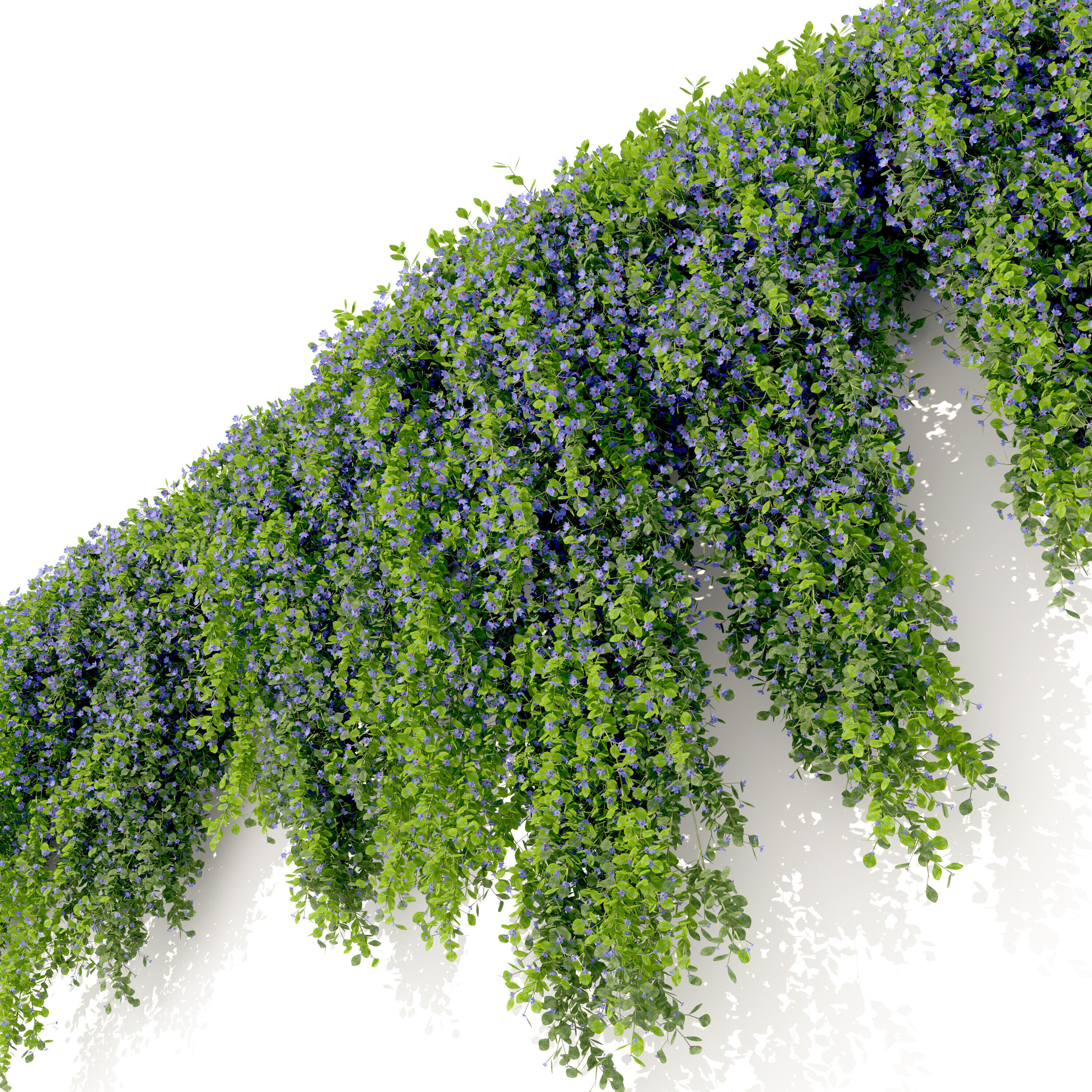 Hanging plant 54 3D model_4