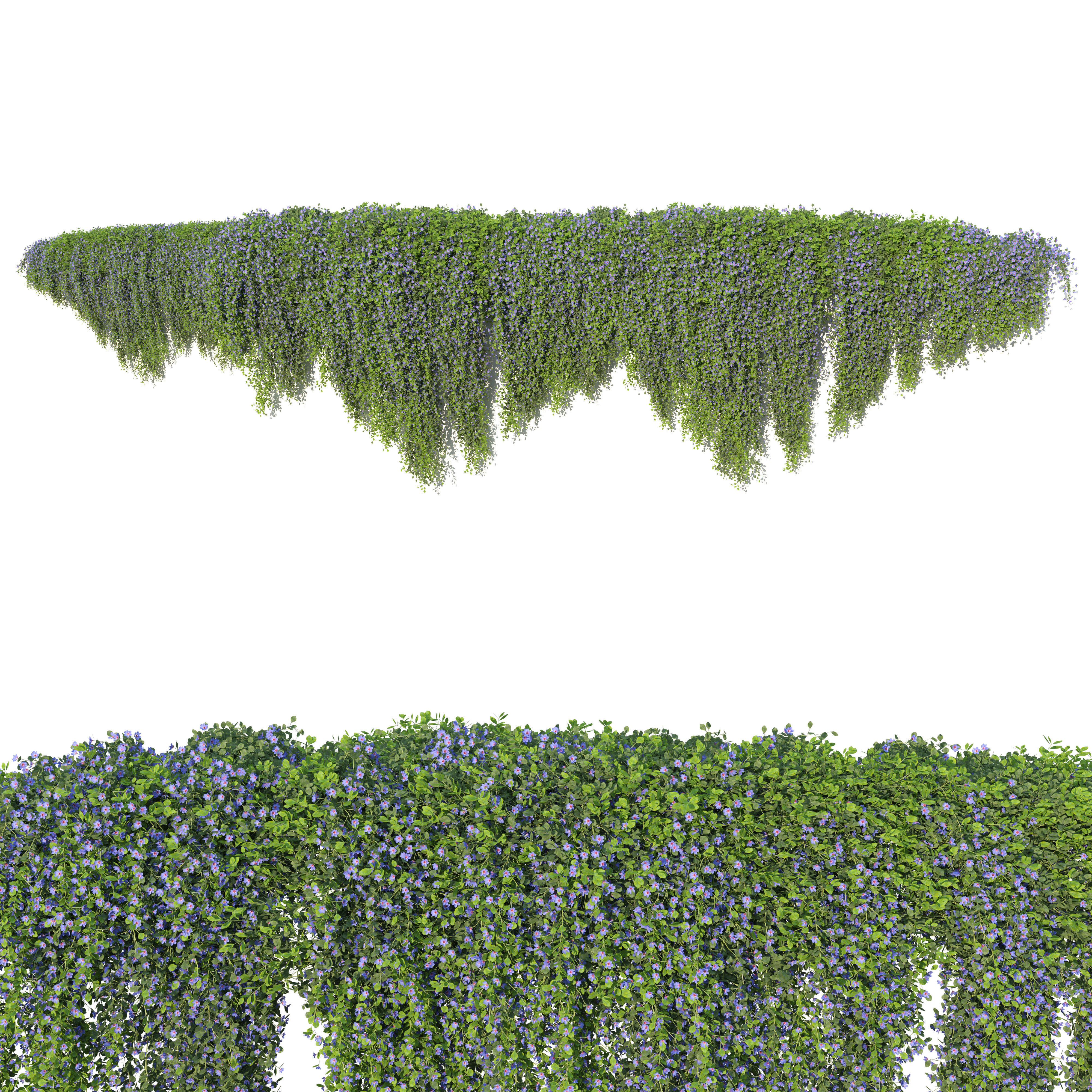 Hanging plant 54 3D model_2