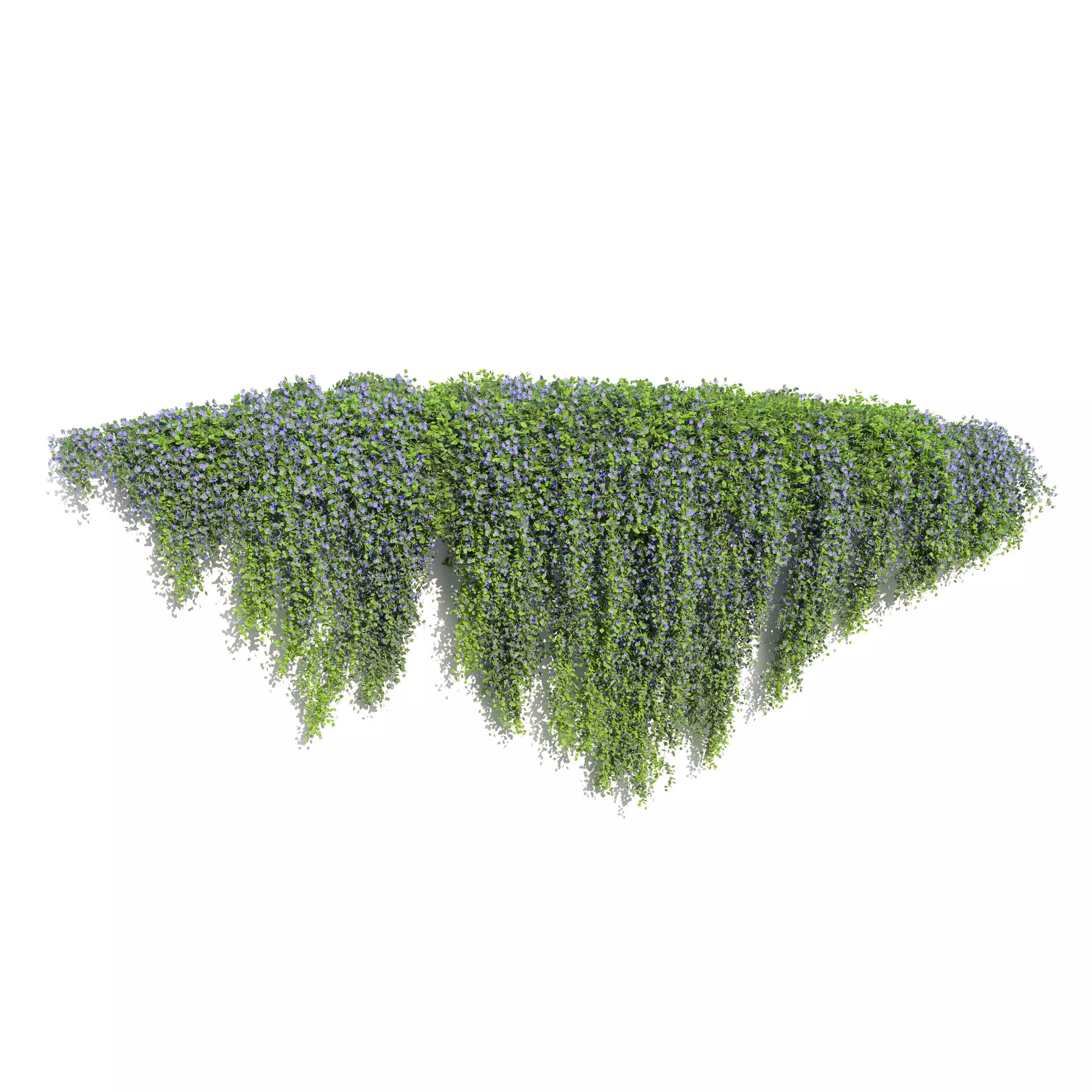 Hanging plant 54 3D model_0