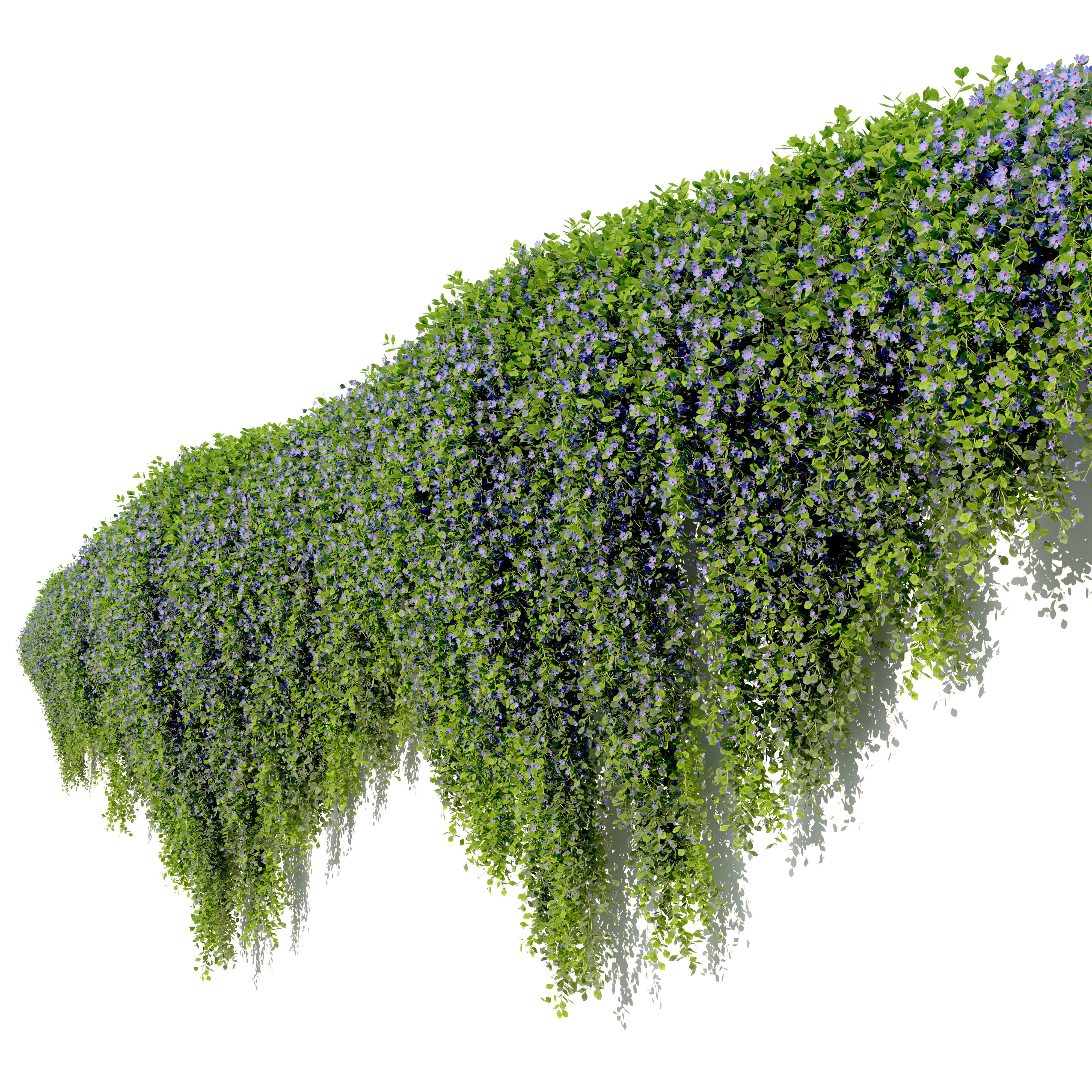 Hanging plant 54 3D model_3