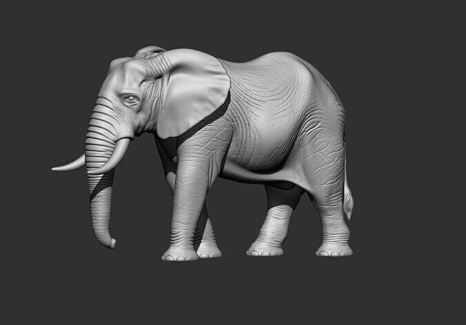  elephant stl 3d printable model  3D print model