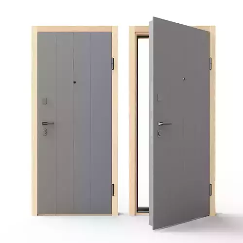 Zonac Door 3D model