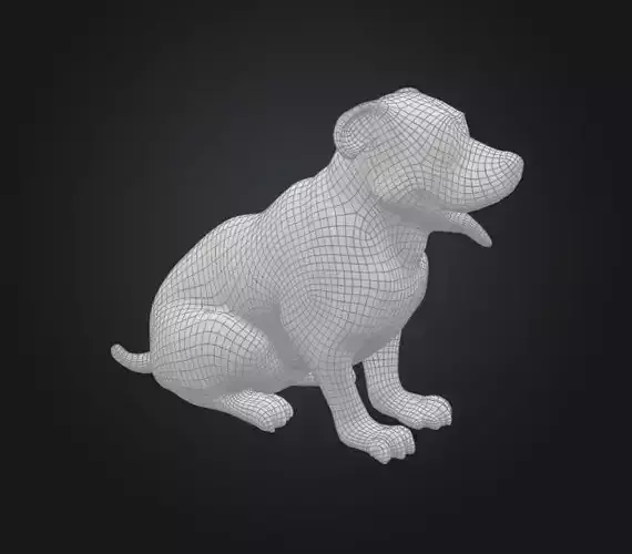 Pitbull Puppy no Texture