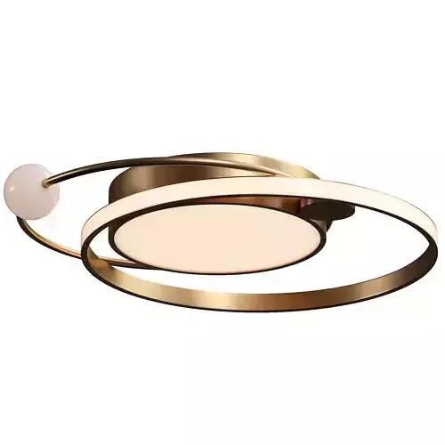 Modern Artistic Metal Round LED Ceiling Light