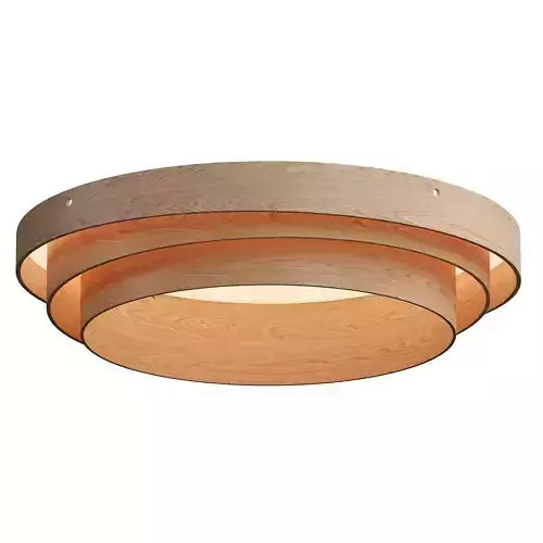 celling lamp