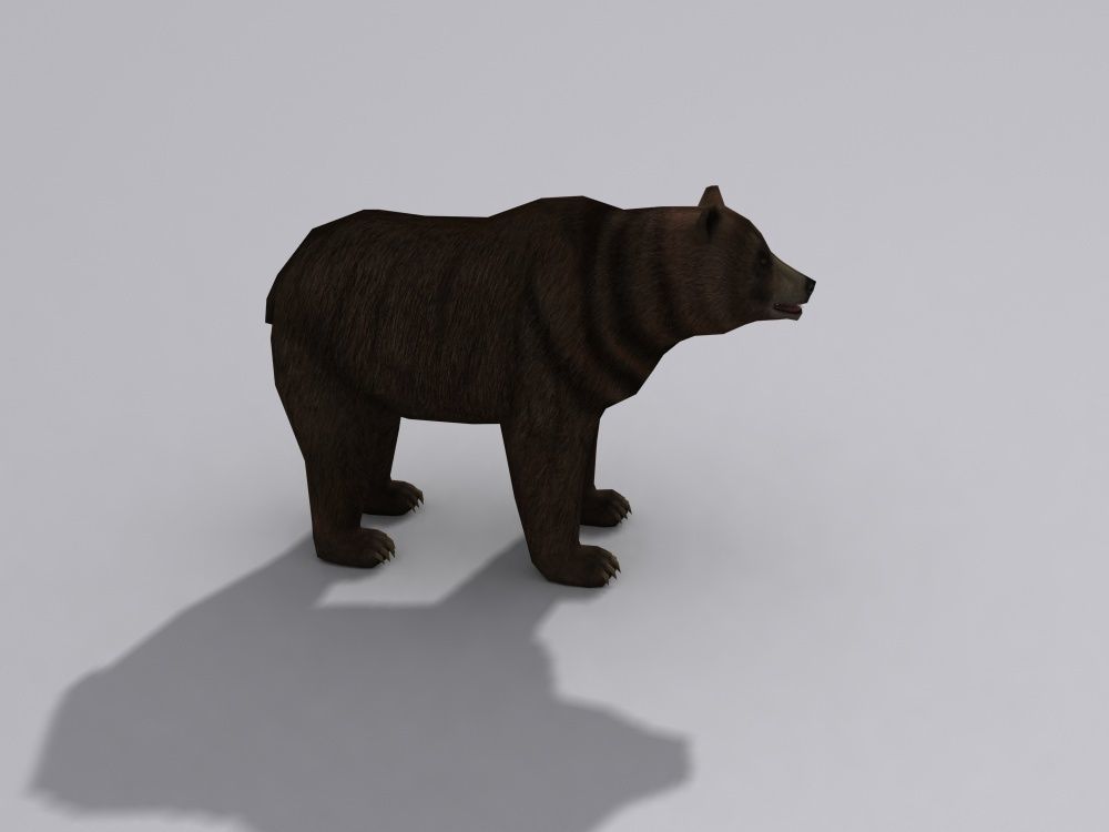 a beer bear Free 3D model_1