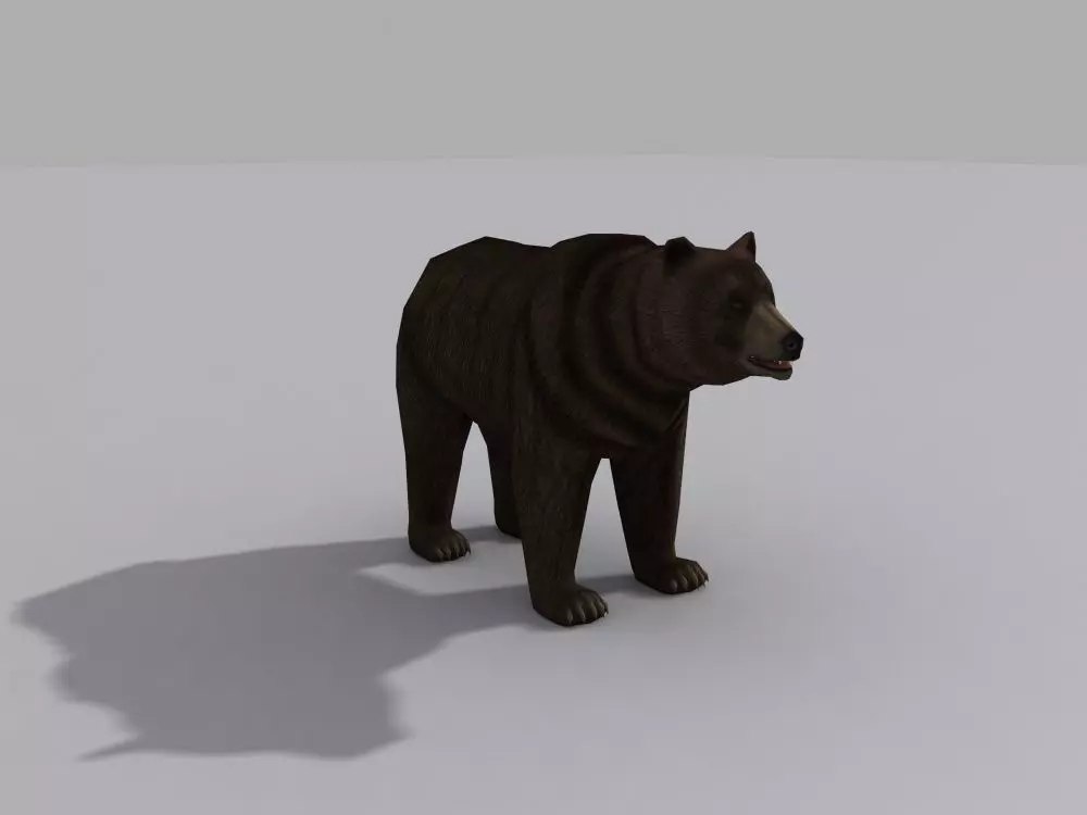 a beer bear Free 3D model_0