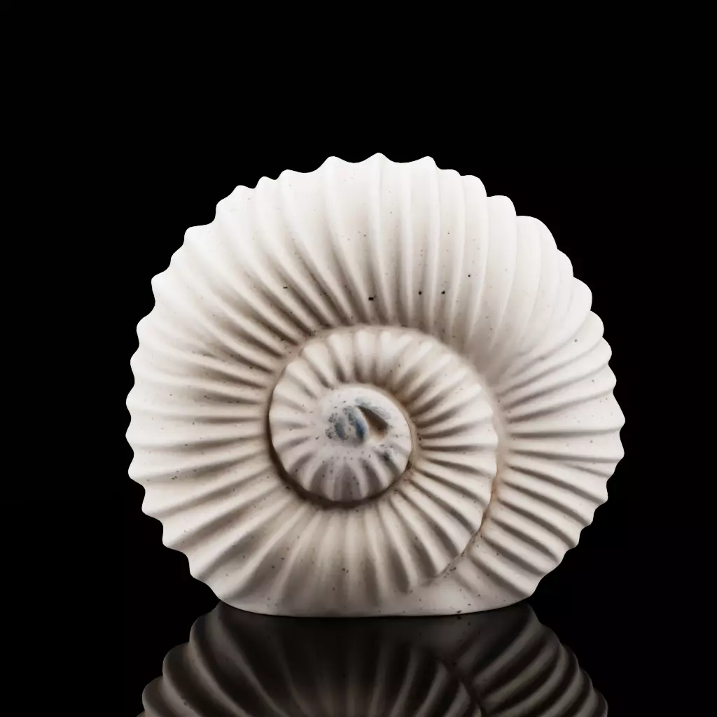 Spiral Shell Decor 3D model